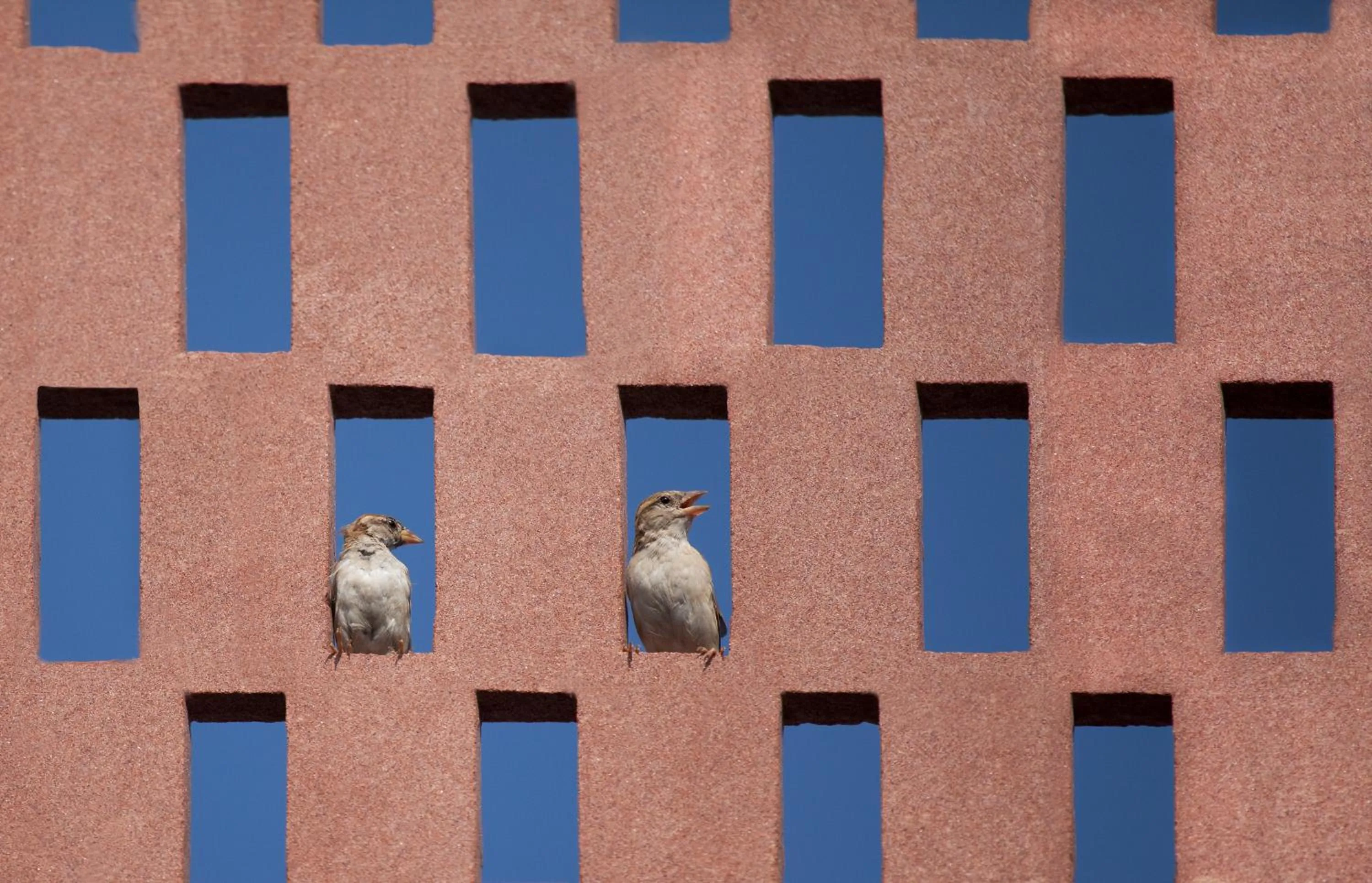 Property building in RAAS Jodhpur