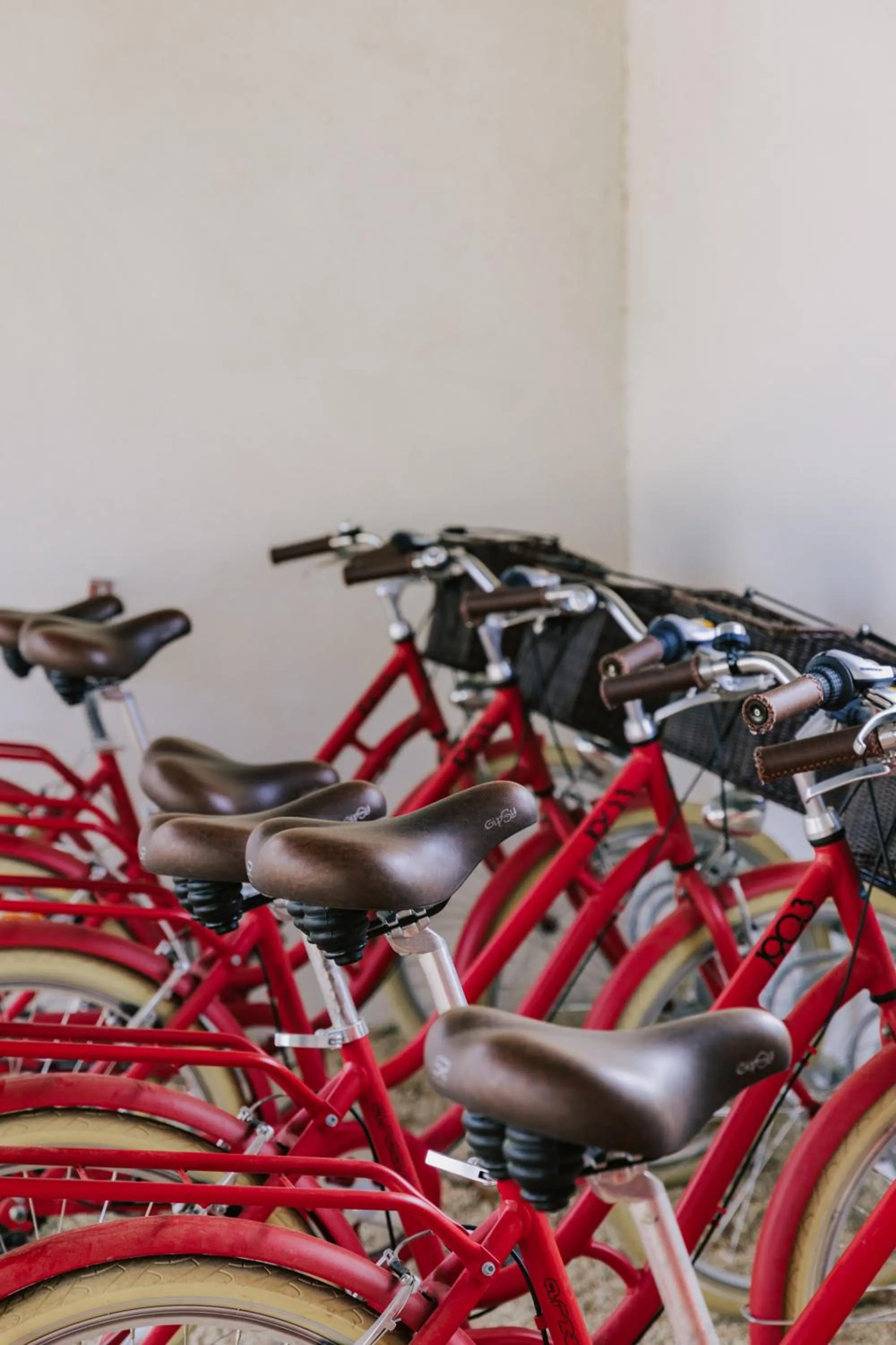 Cycling in Oustau Camarguen Hôtel & Spa