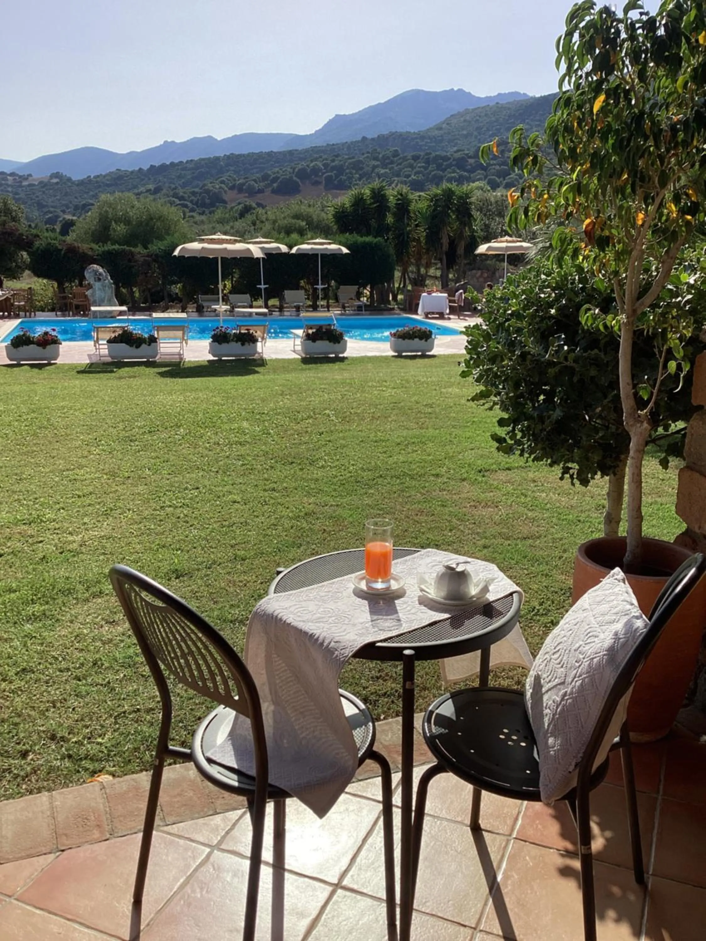 Garden view in Hotel Janas