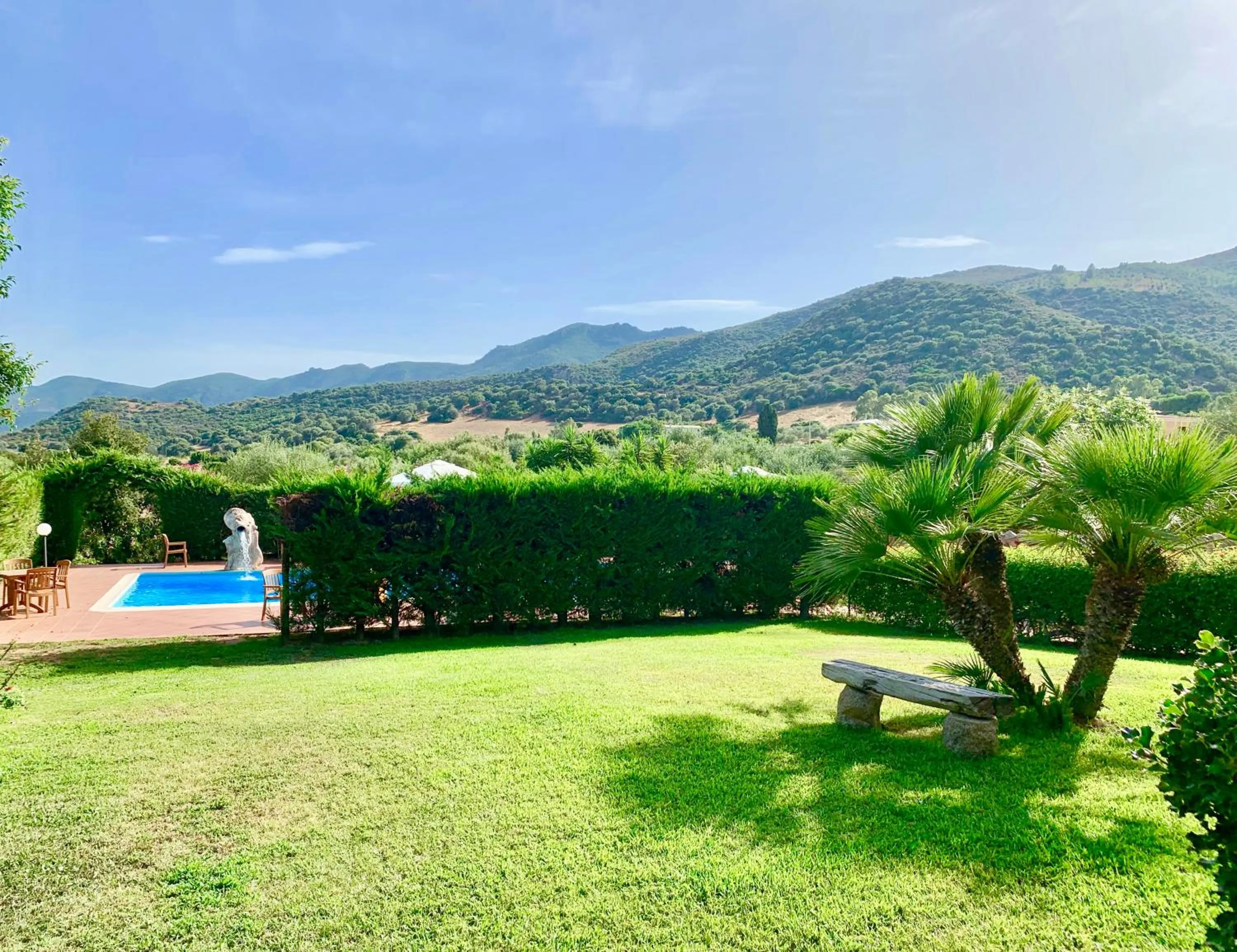 Garden in Hotel Janas