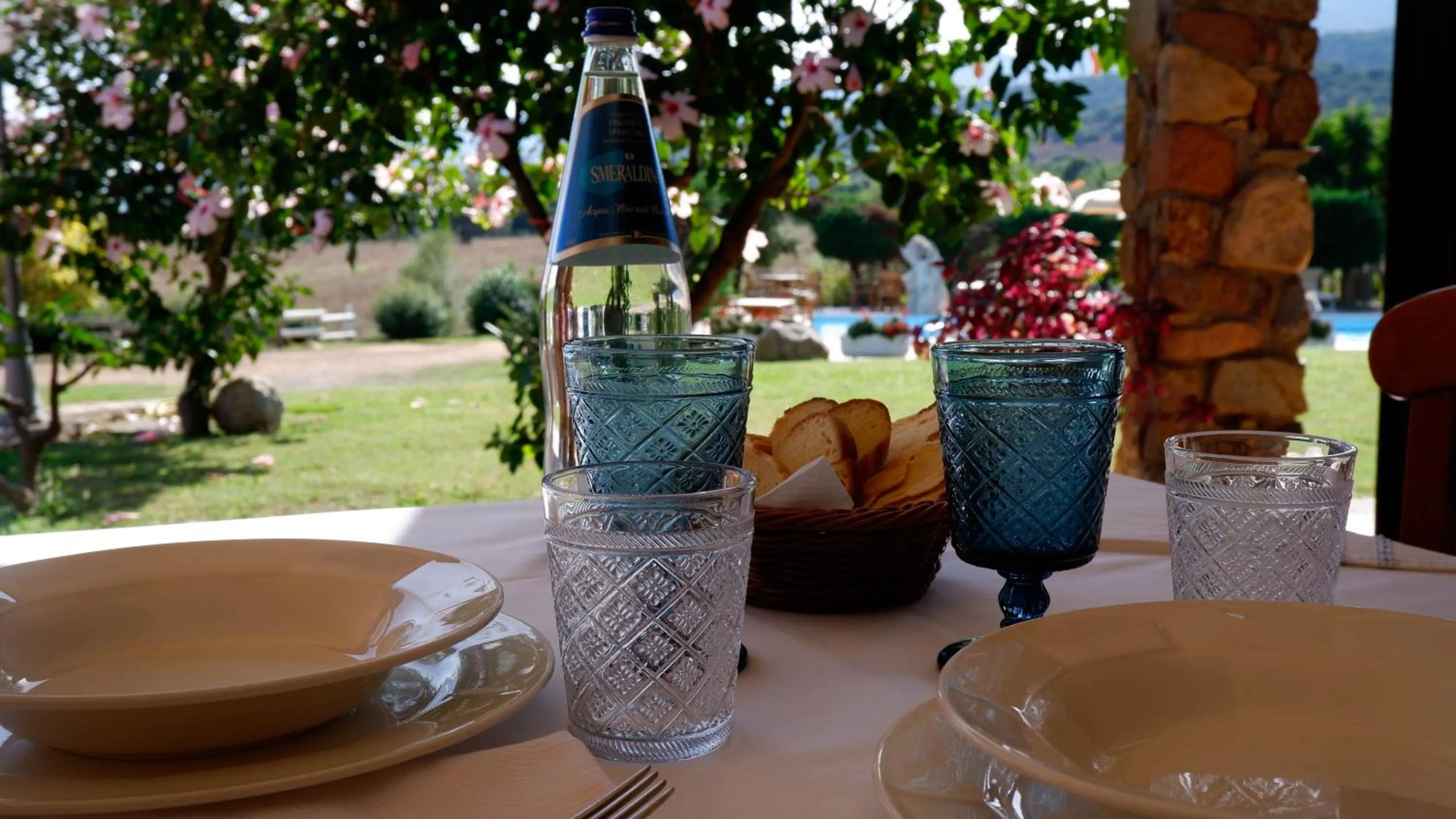 Restaurant/places to eat in Hotel Janas