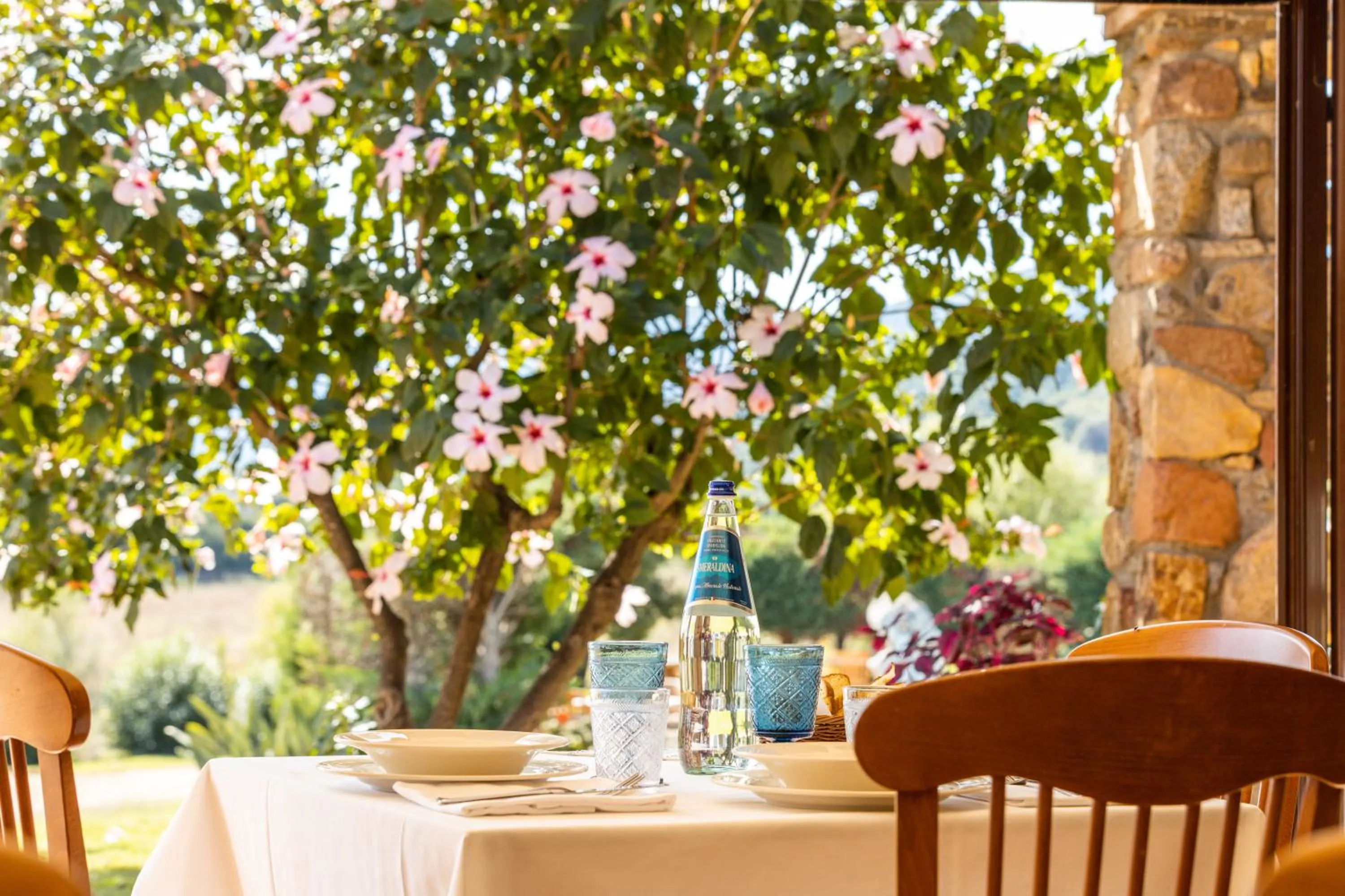 Restaurant/places to eat in Hotel Janas