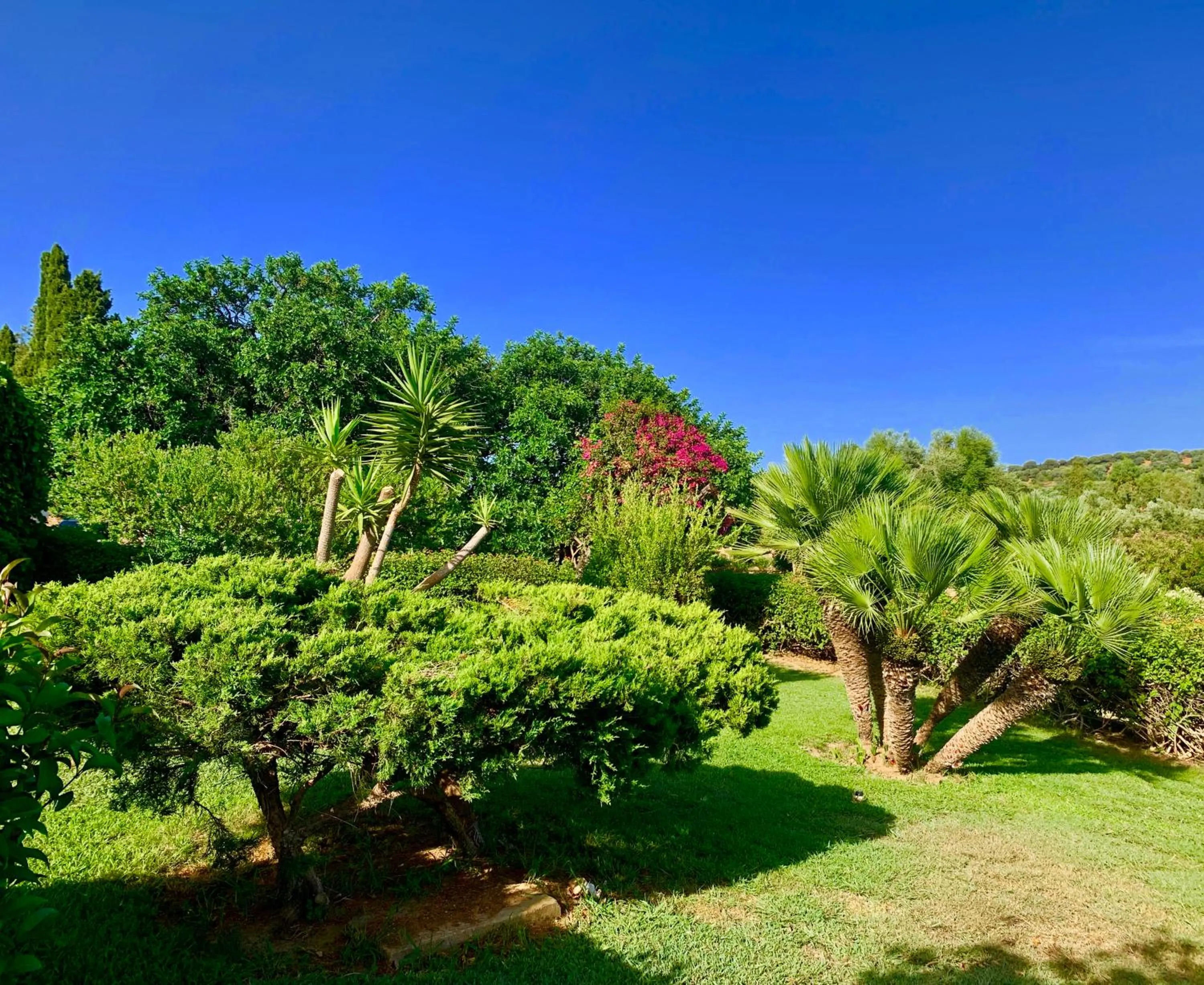 Natural landscape in Hotel Janas