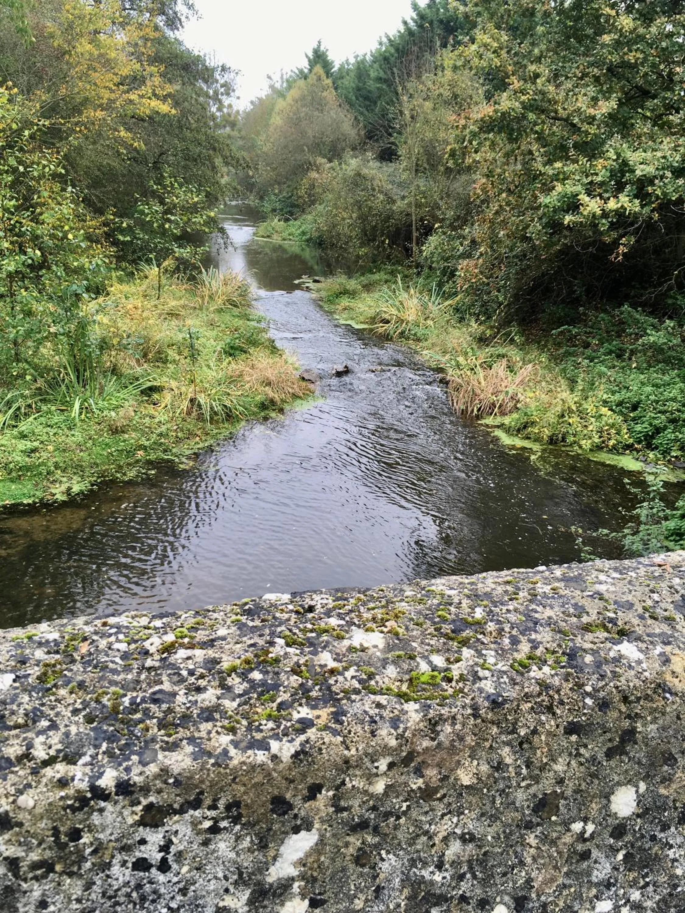 Natural landscape in La Maison Haute