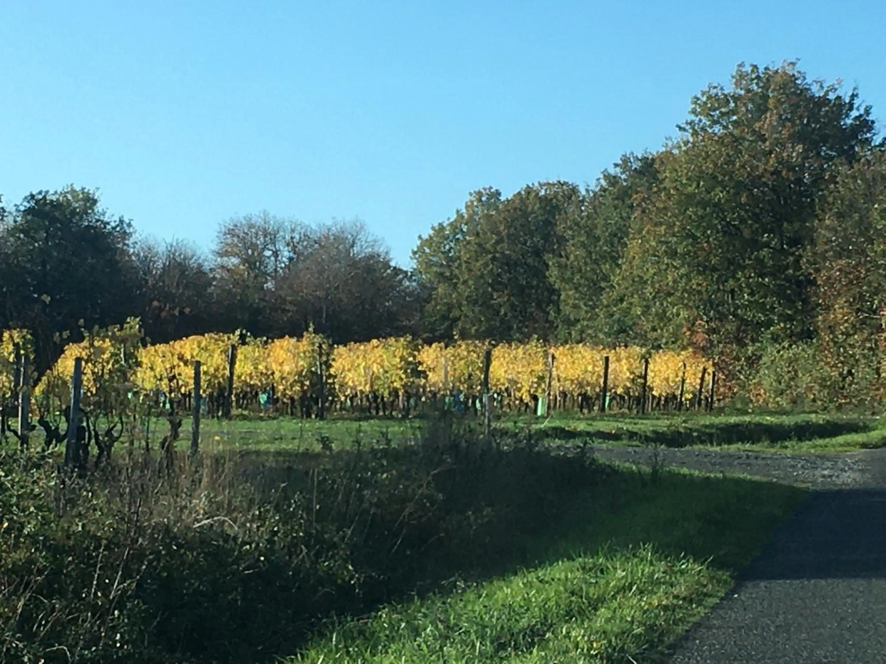 Natural landscape in La Maison Haute