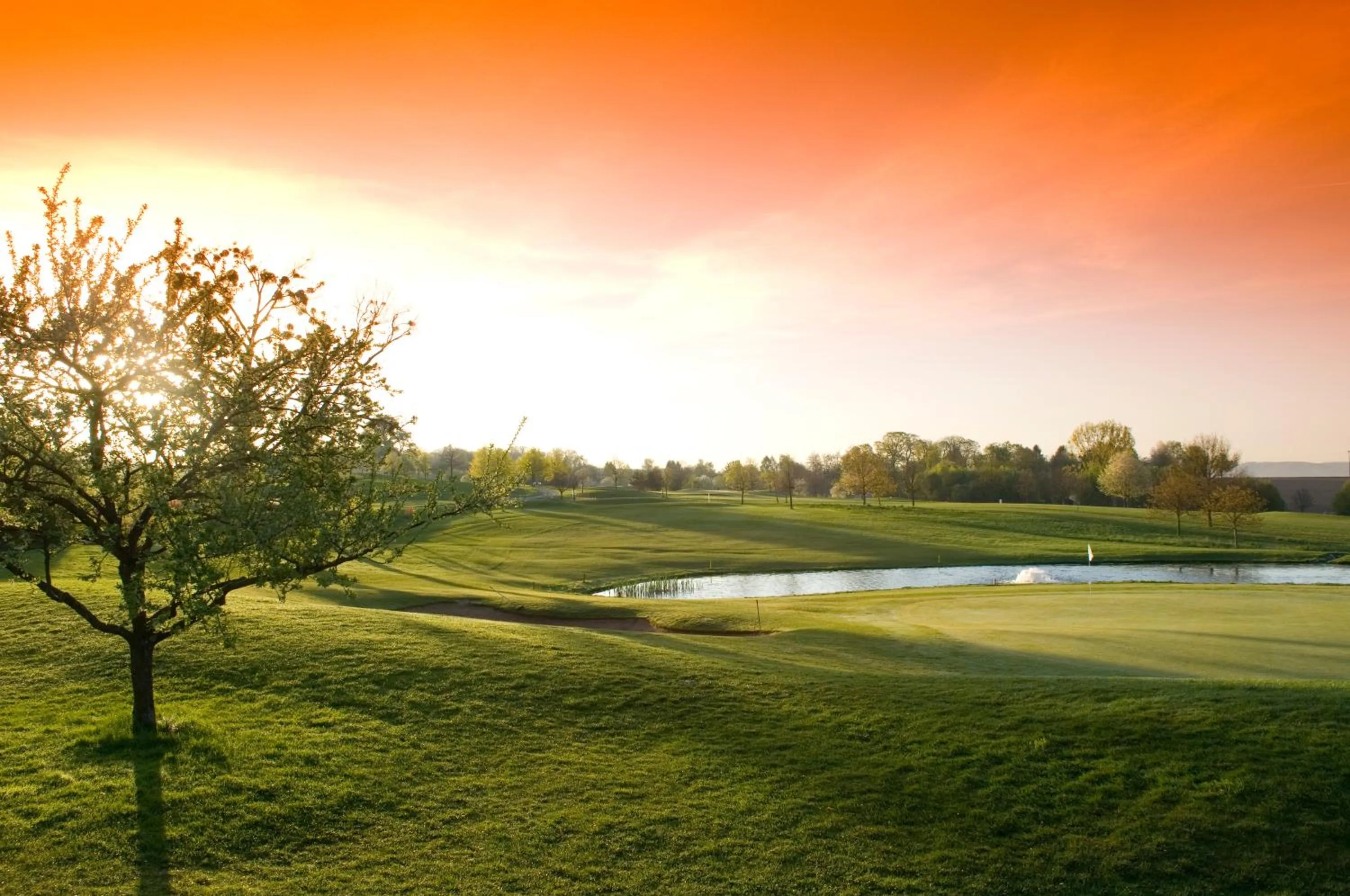 Golfcourse in Wald & Schlosshotel Friedrichsruhe