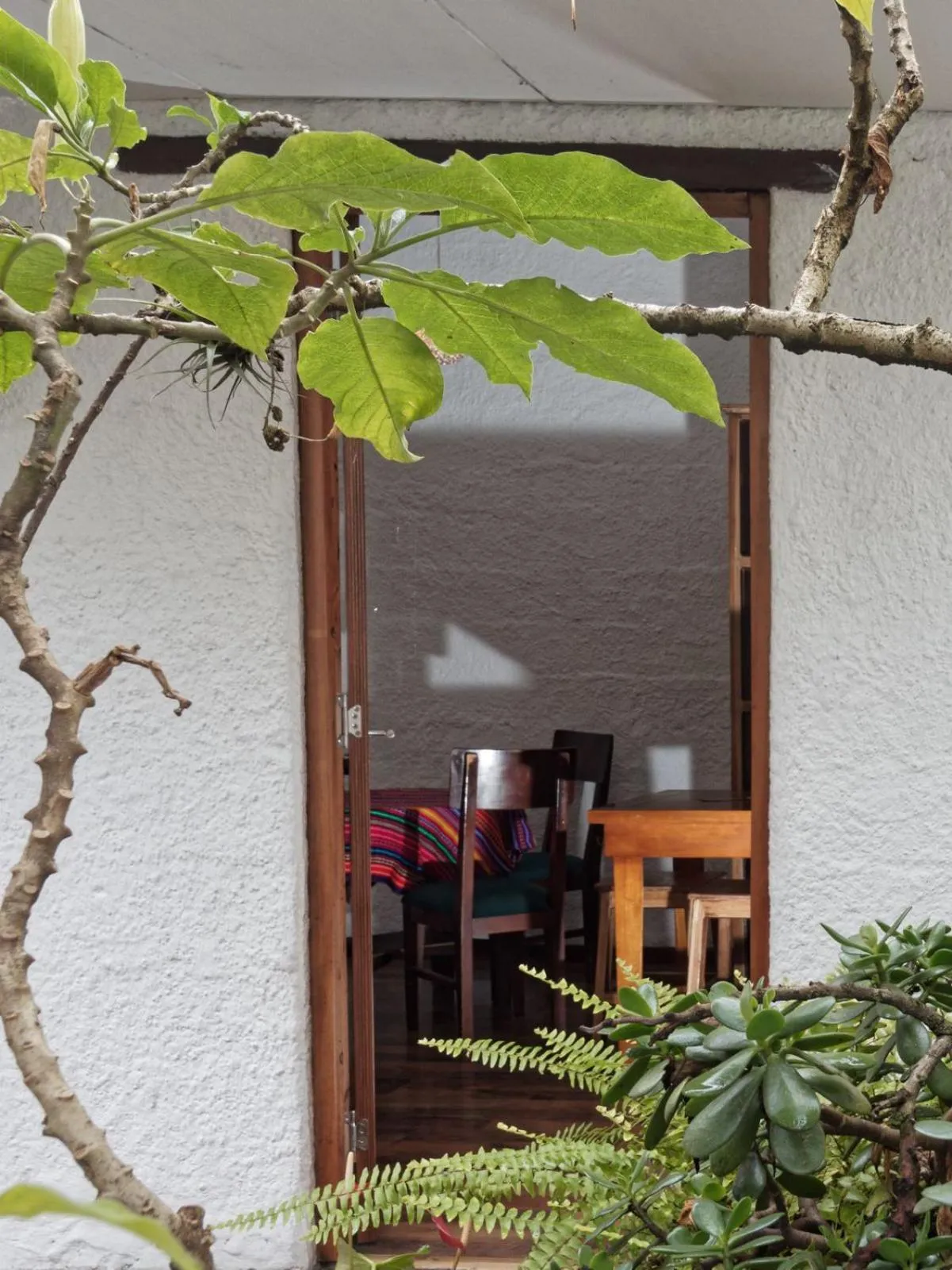 Garden view in Apartamentos Otorongo Cuenca Ecuador