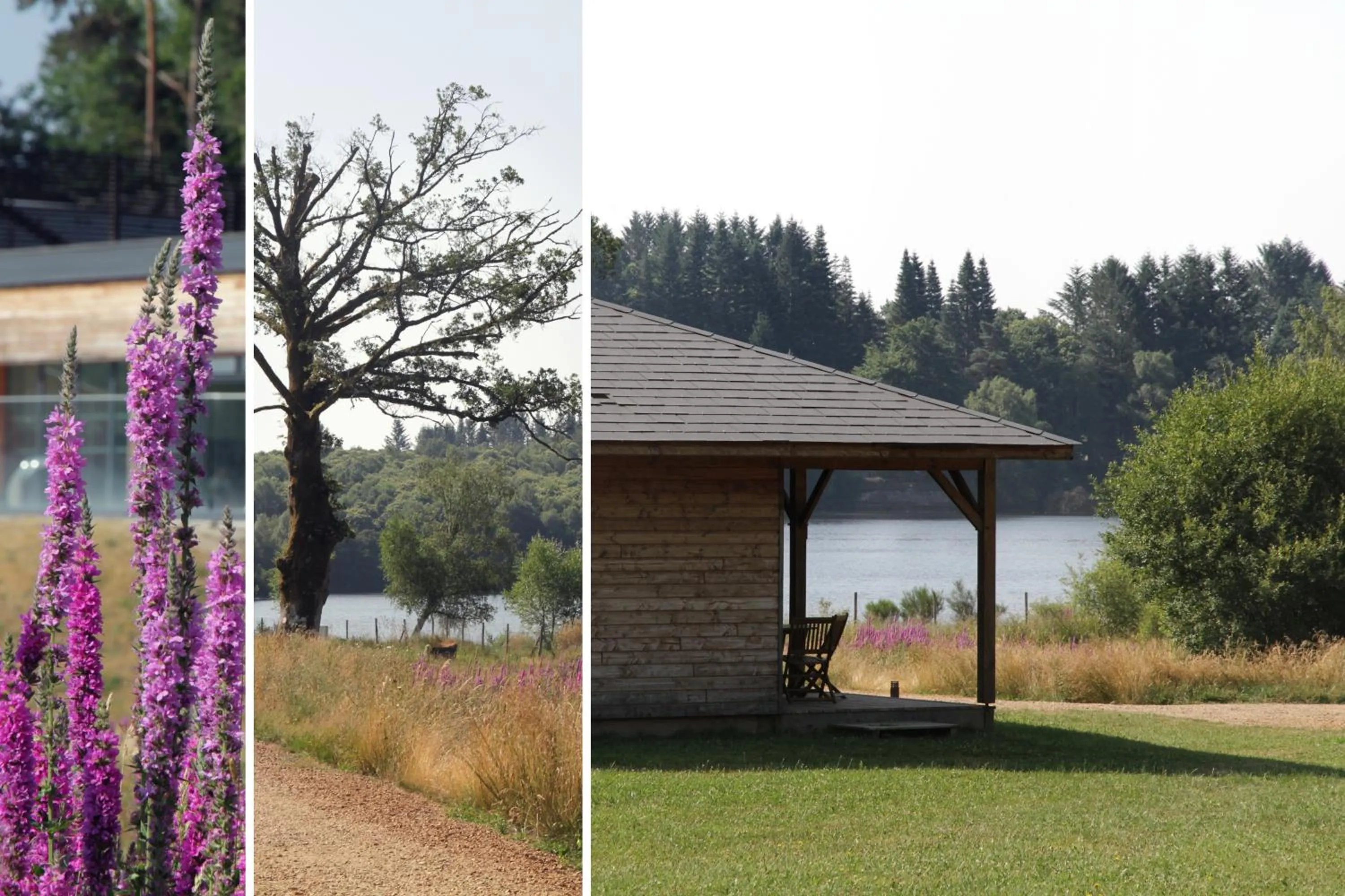 Natural landscape in Vacancéole - Le Domaine des Monédières