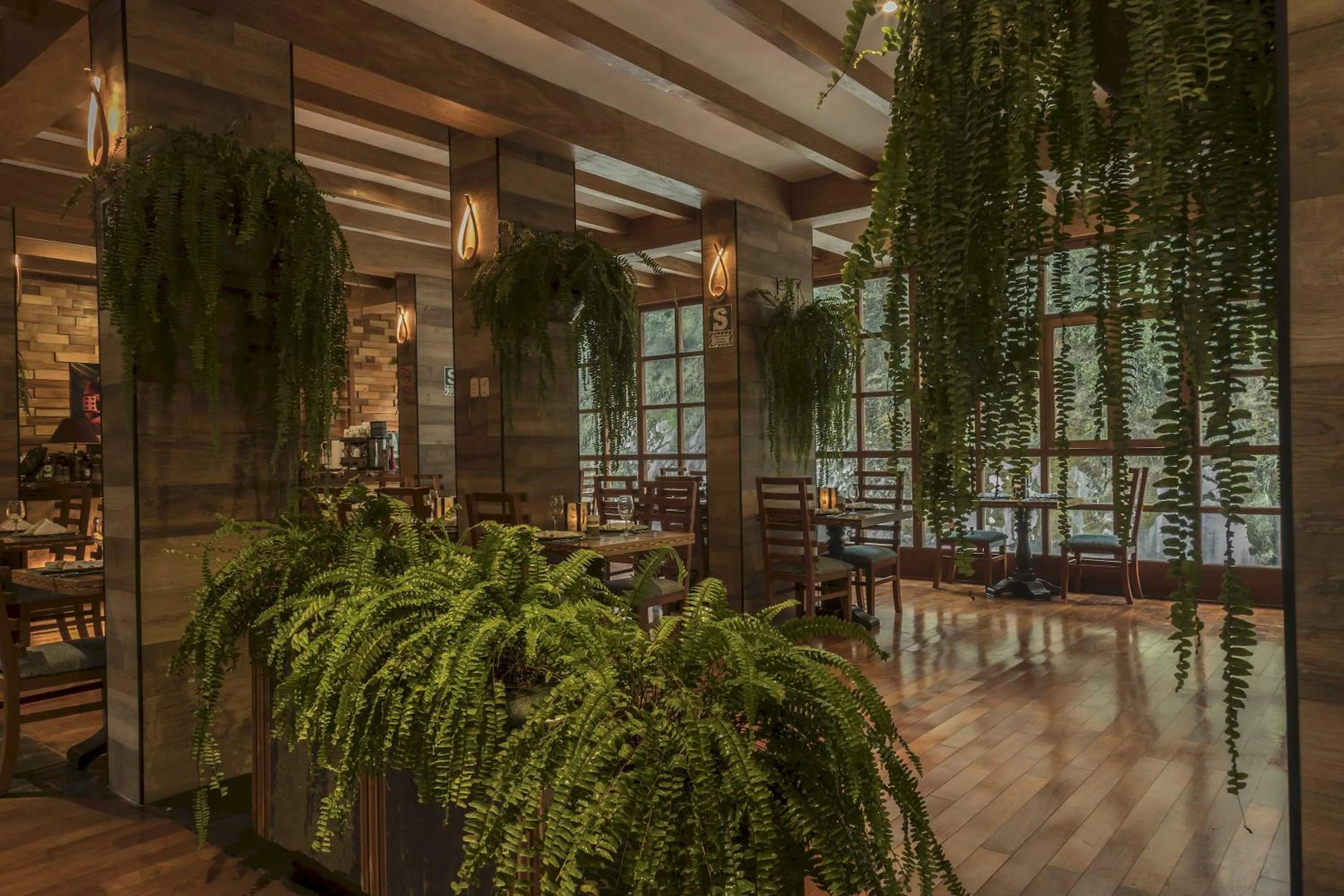 Restaurant/places to eat in Casa del Sol Machupicchu