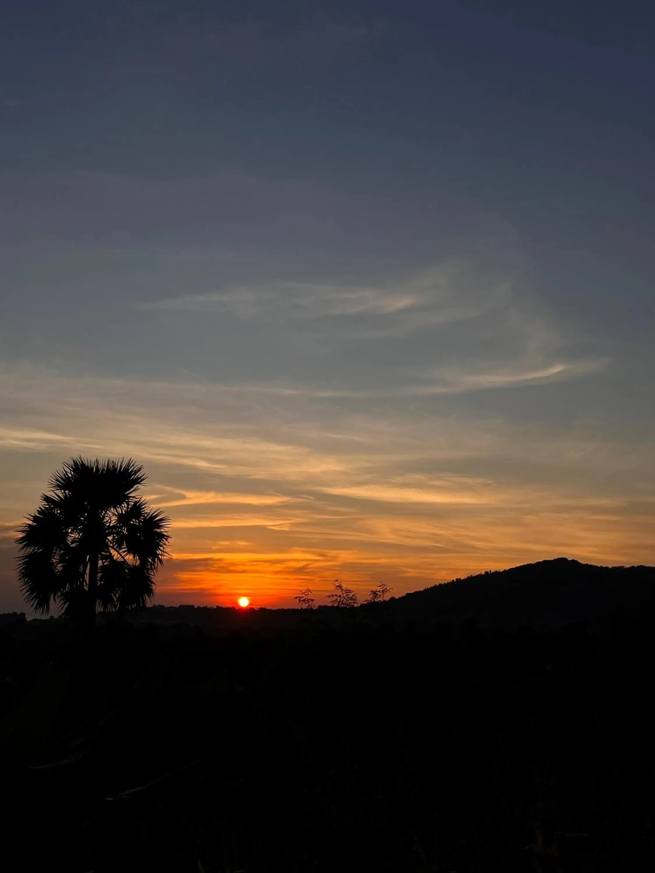 View (from property/room) in Menjangan Hill