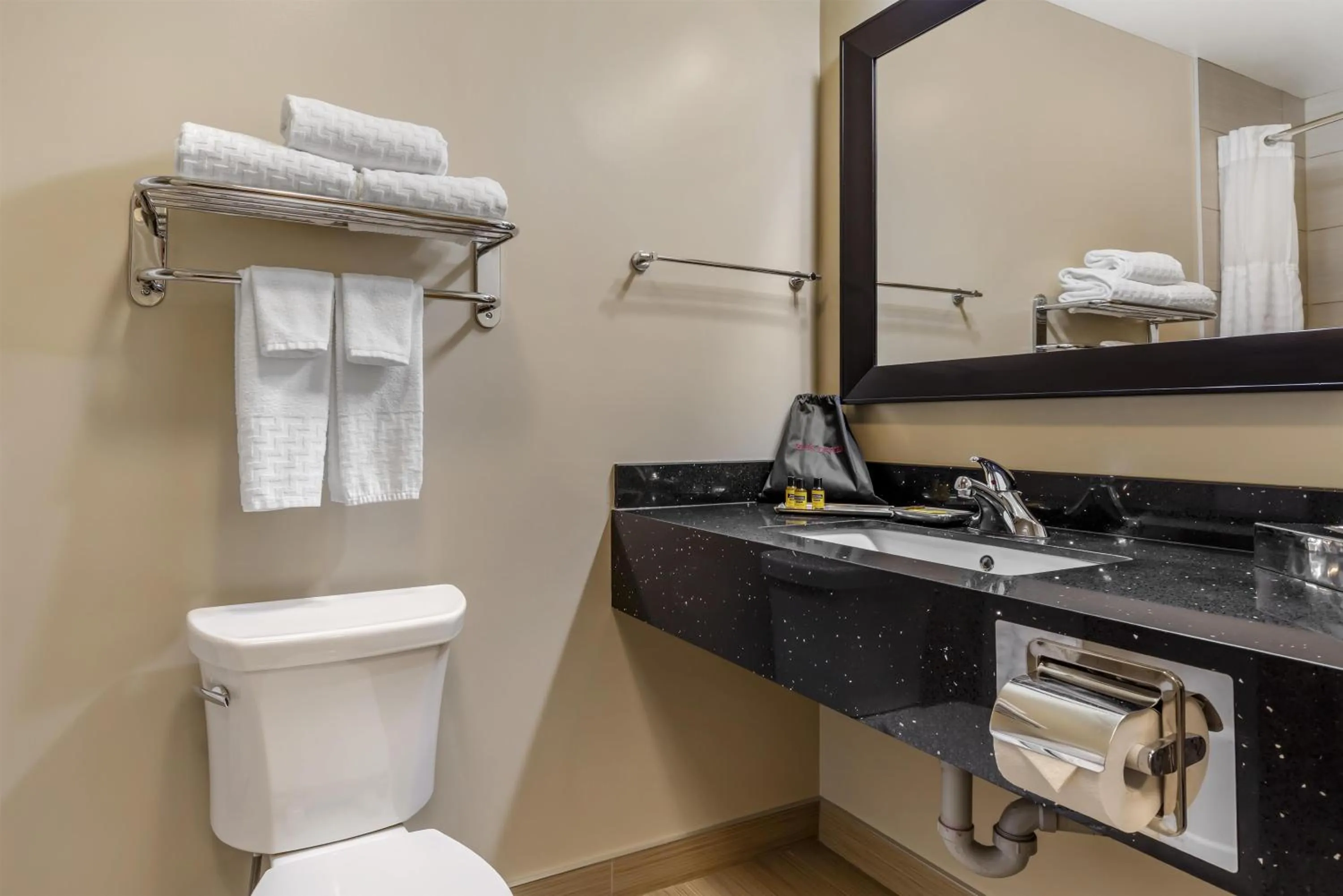 Bathroom in Best Western Plus Moose Jaw