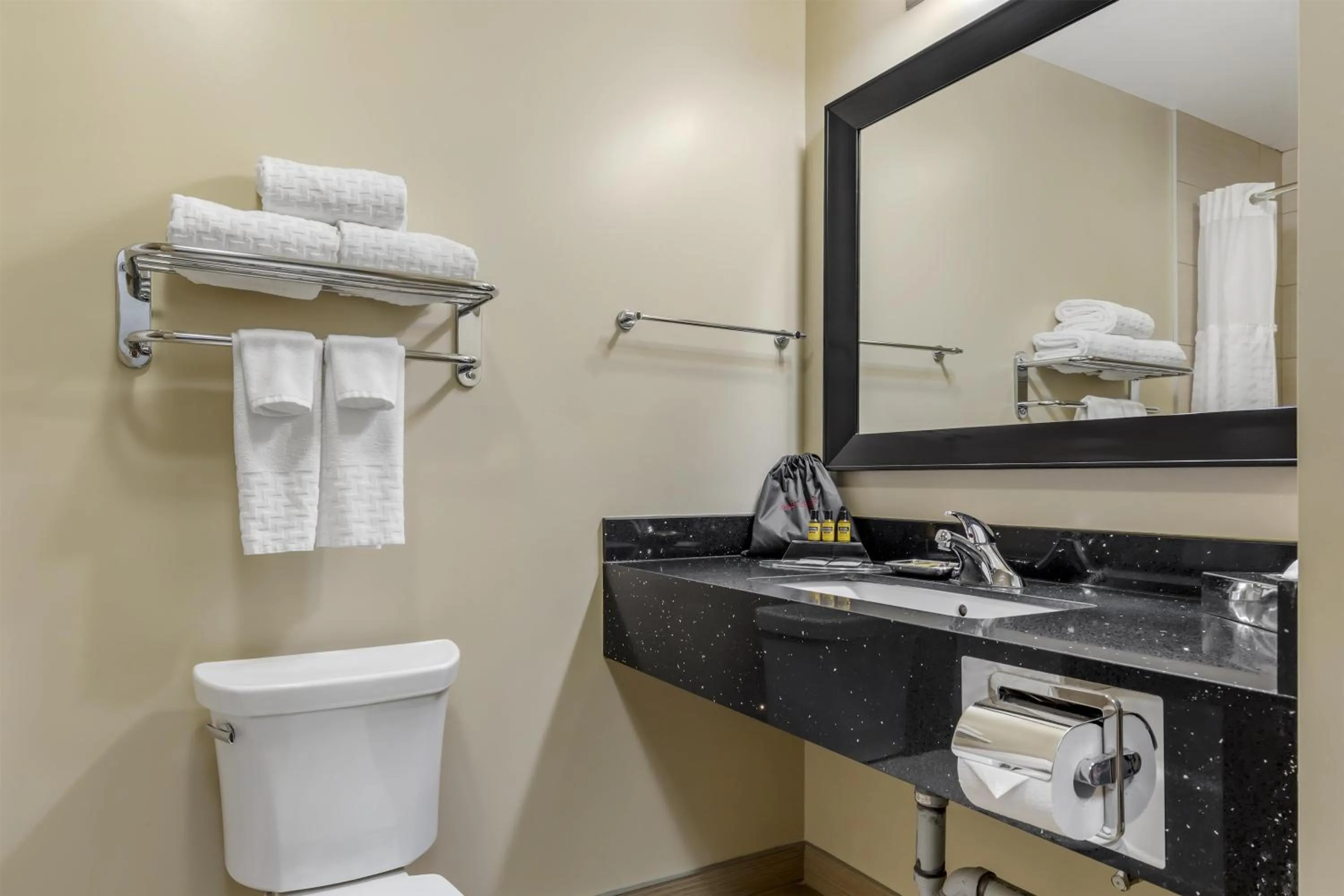 Bathroom in Best Western Plus Moose Jaw