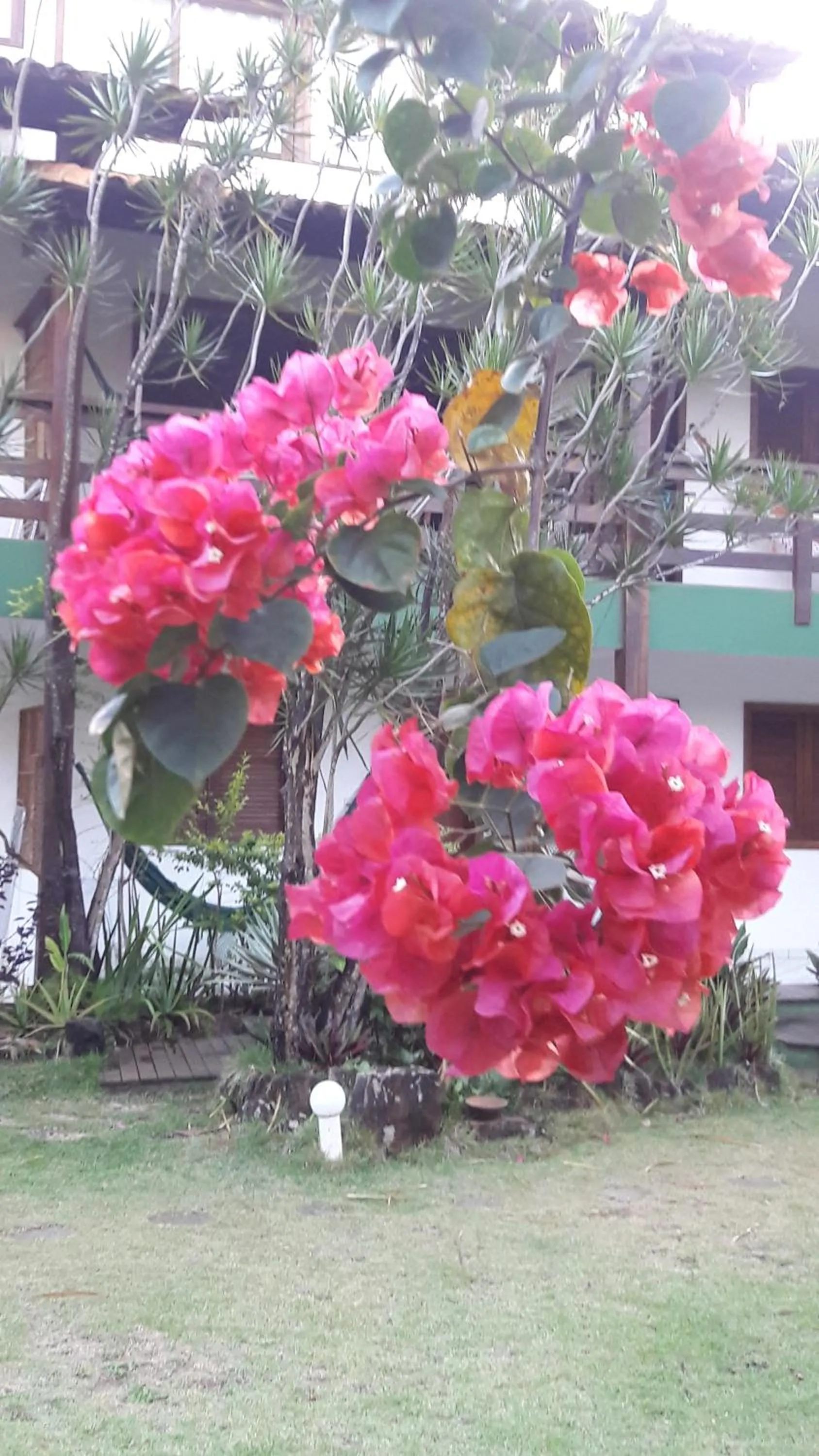 Garden in Pousada Girassol