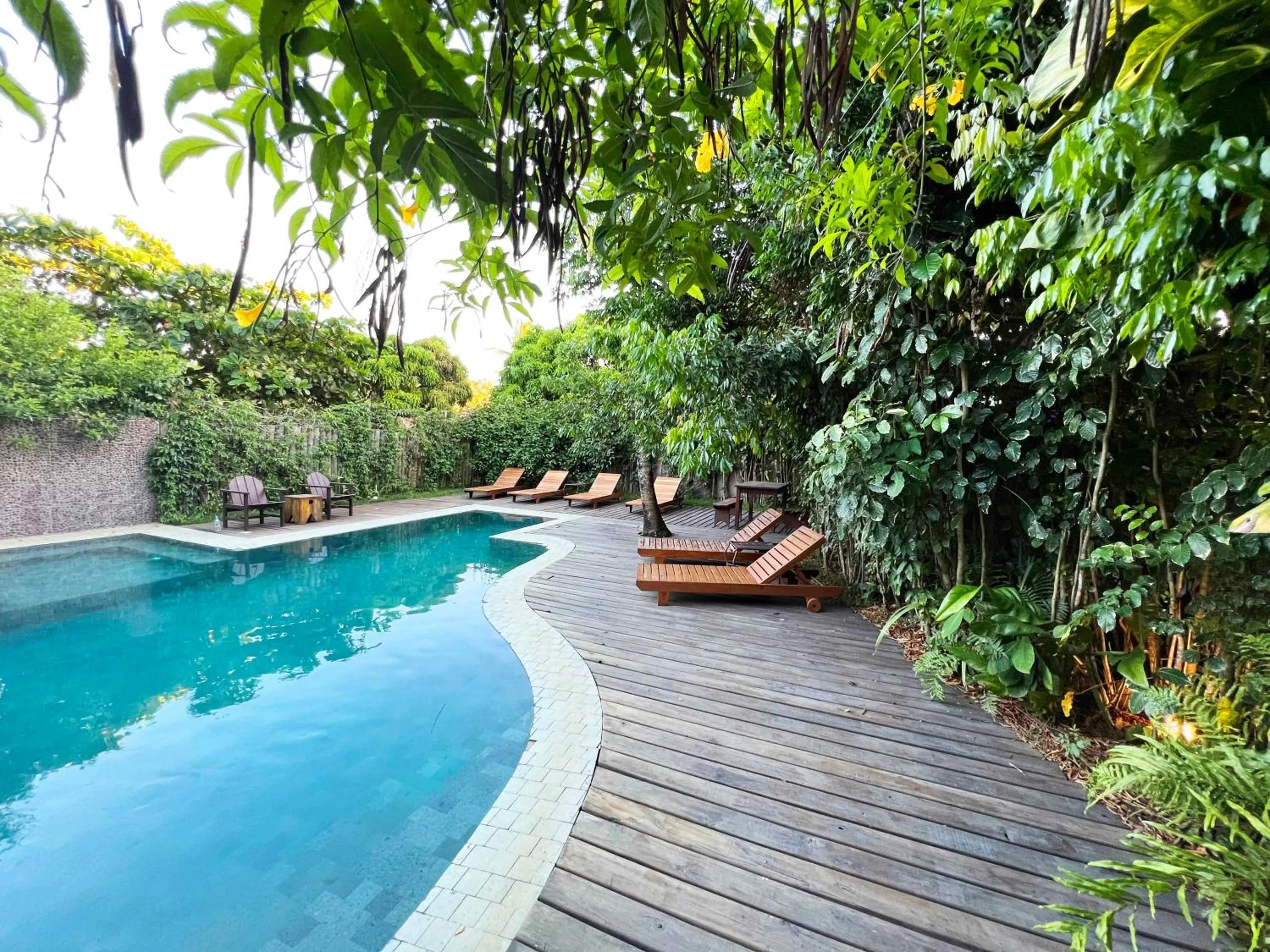 Natural landscape in Pousada Mangue Sereno