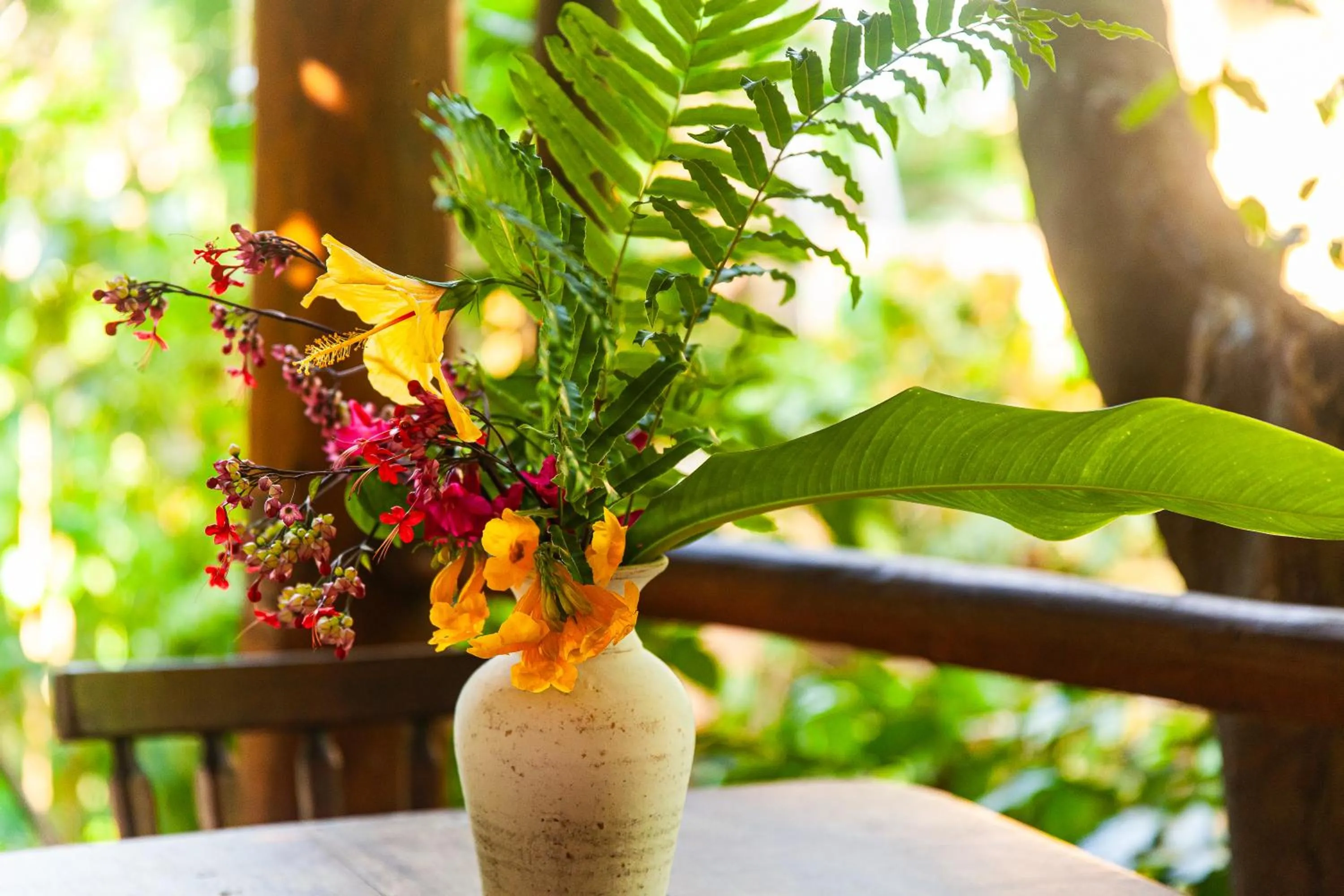 Pousada Mangue Sereno