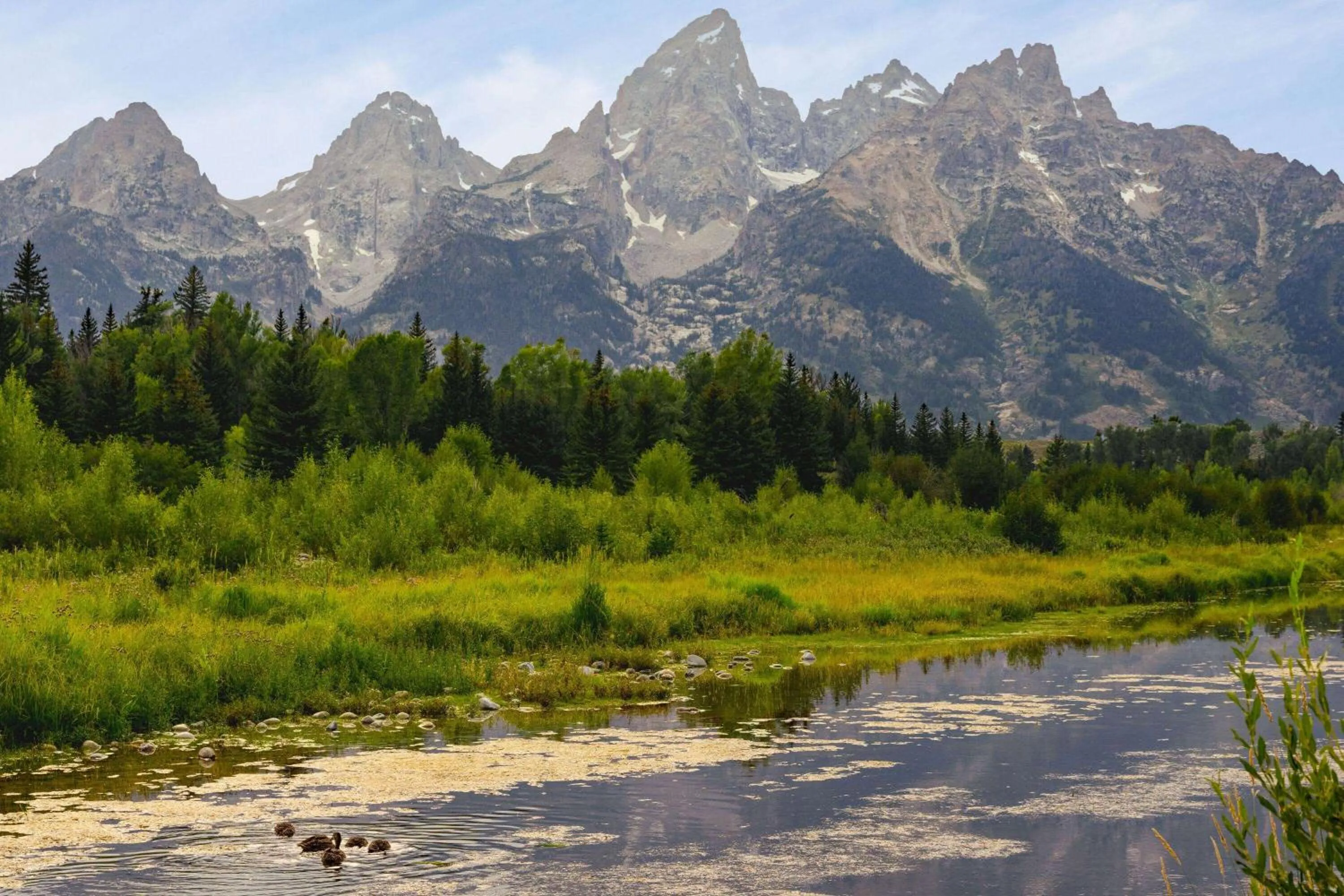 Nearby landmark in La Quinta by Wyndham Idaho Falls/Ammon