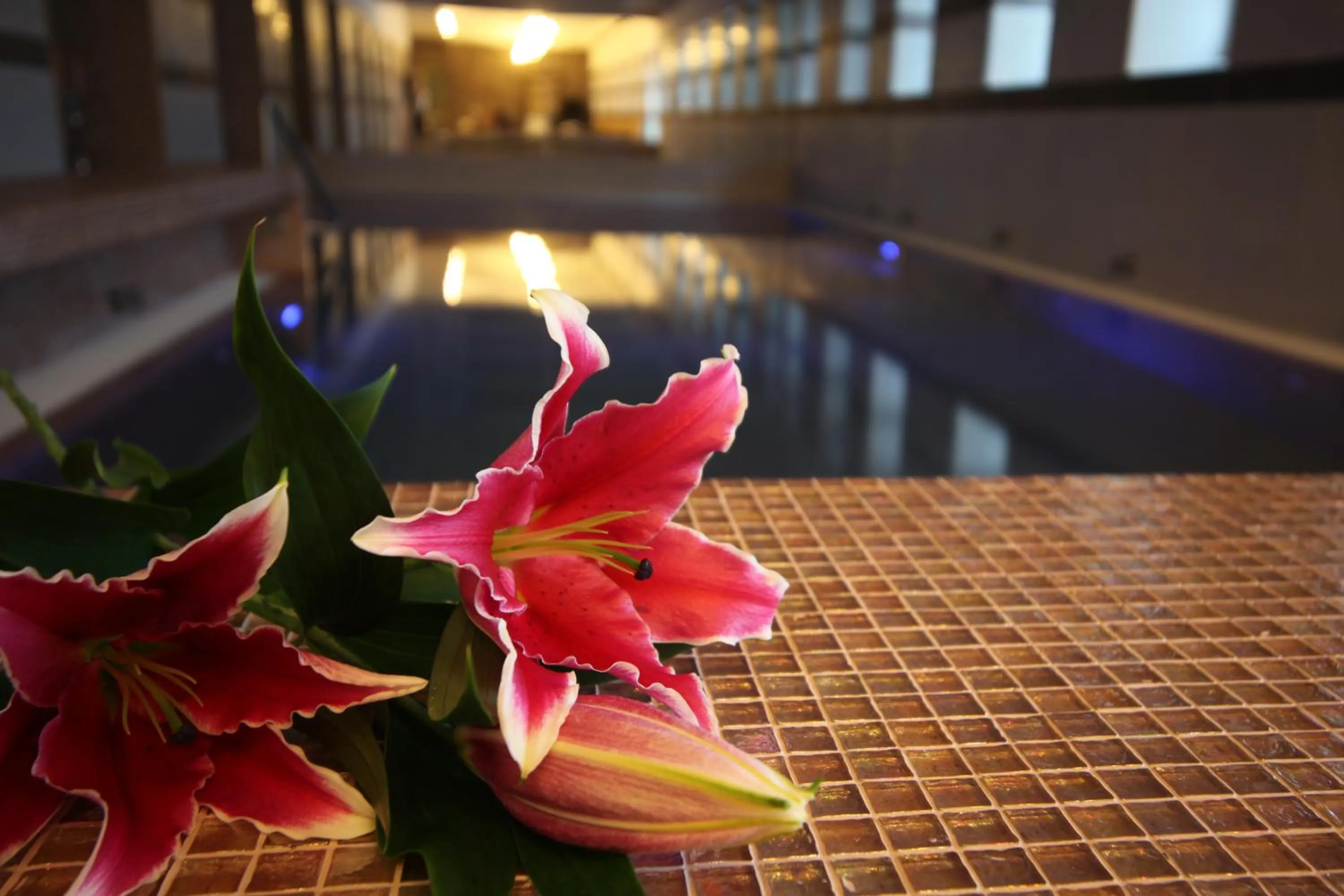 Spa and wellness centre/facilities in Hotel Kristály Imperial
