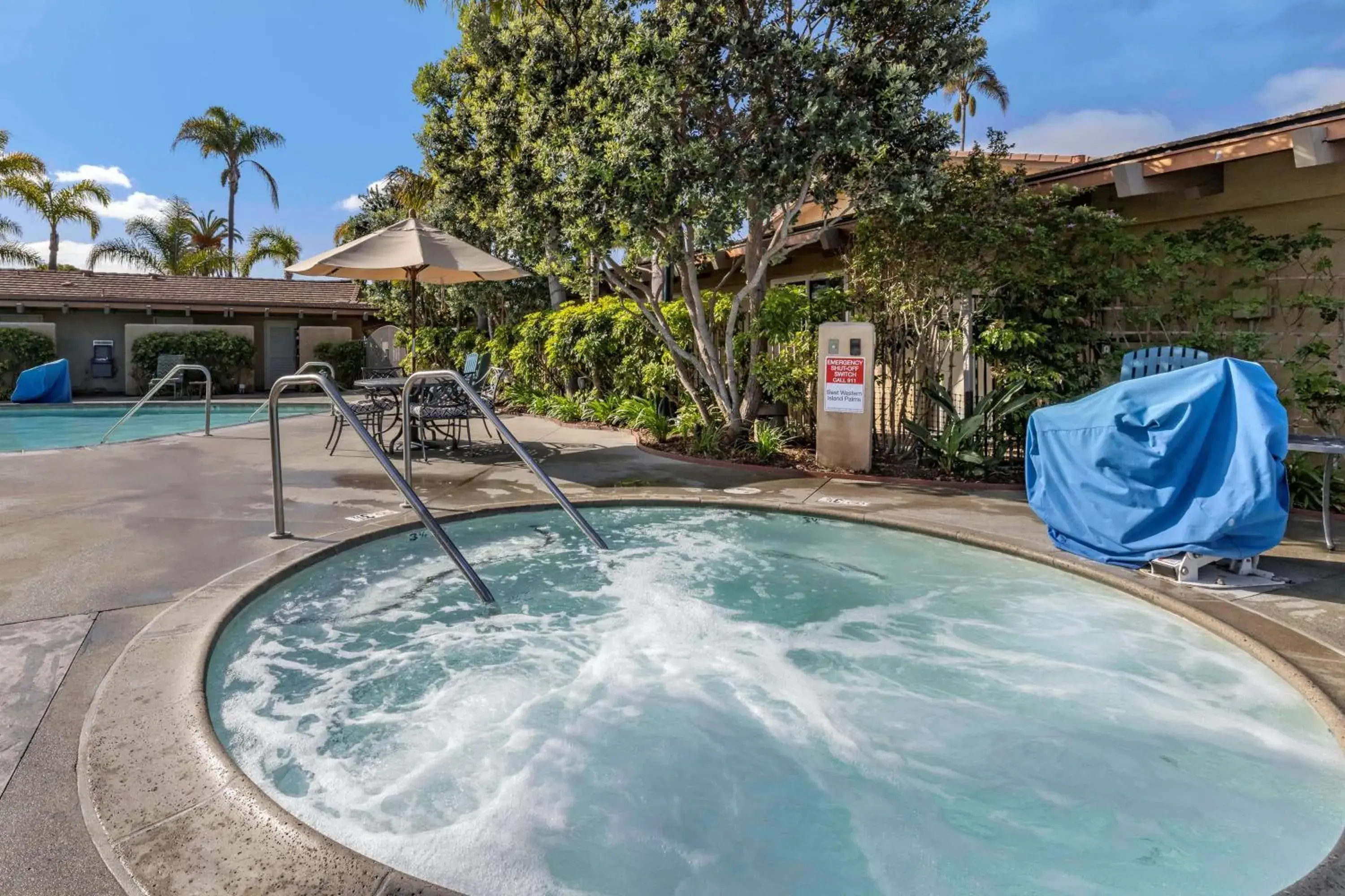 Pool view in Best Western PLUS Island Palms Hotel & Marina Pool view in Best Western PLUS Island Palms Hotel & Marina