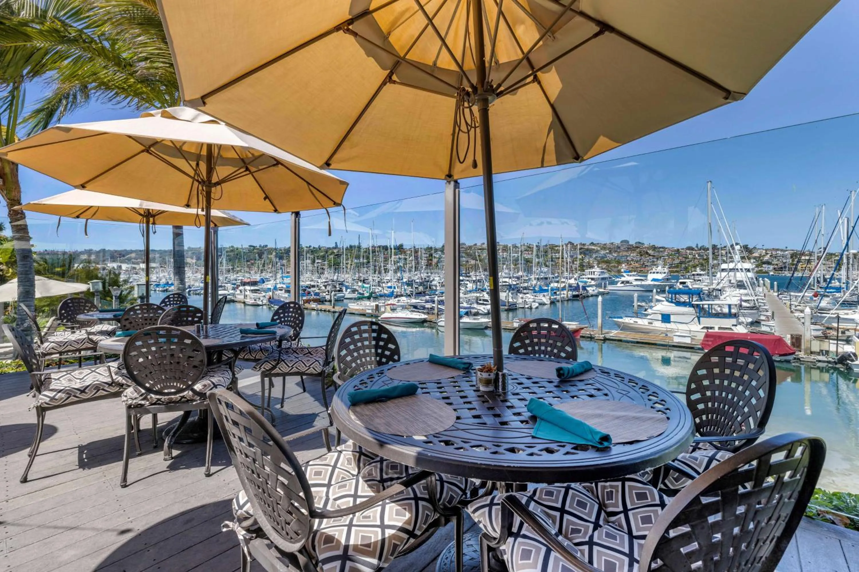 Restaurant/places to eat in Best Western PLUS Island Palms Hotel & Marina