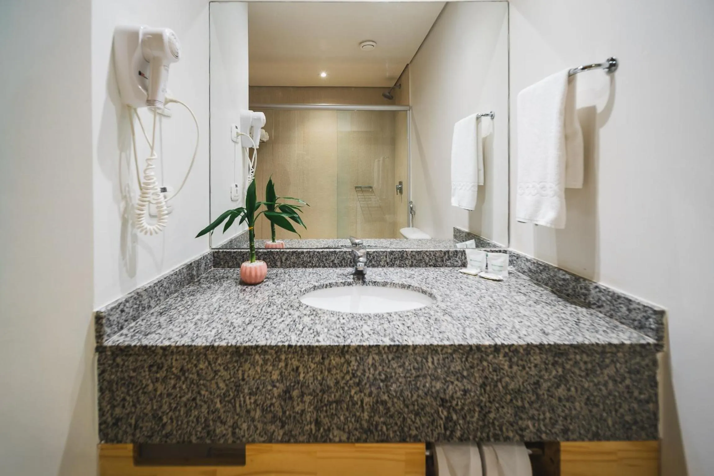 Bathroom in Hotel Nacional Inn Curitiba Santa Felicidade