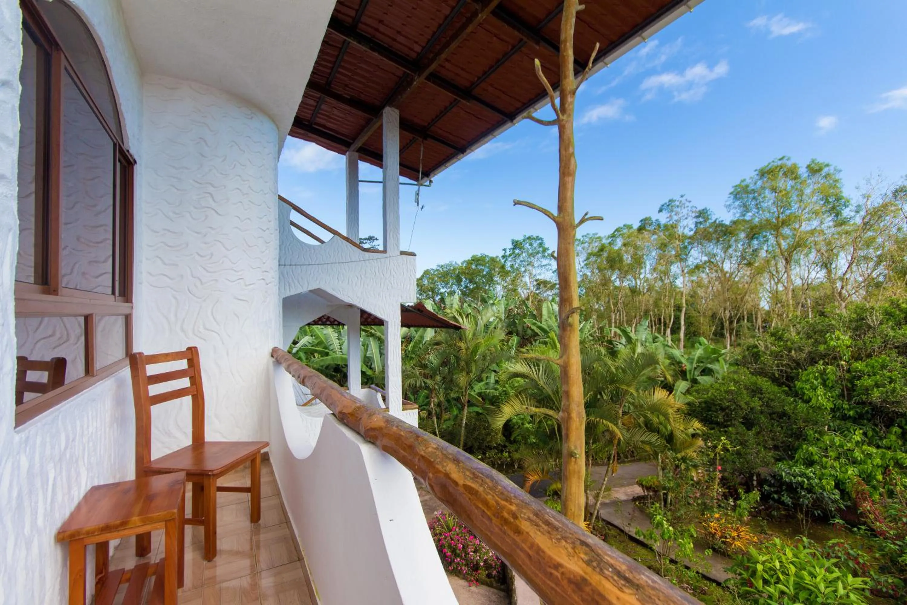 Balcony/Terrace in Hotel Twin Galápagos
