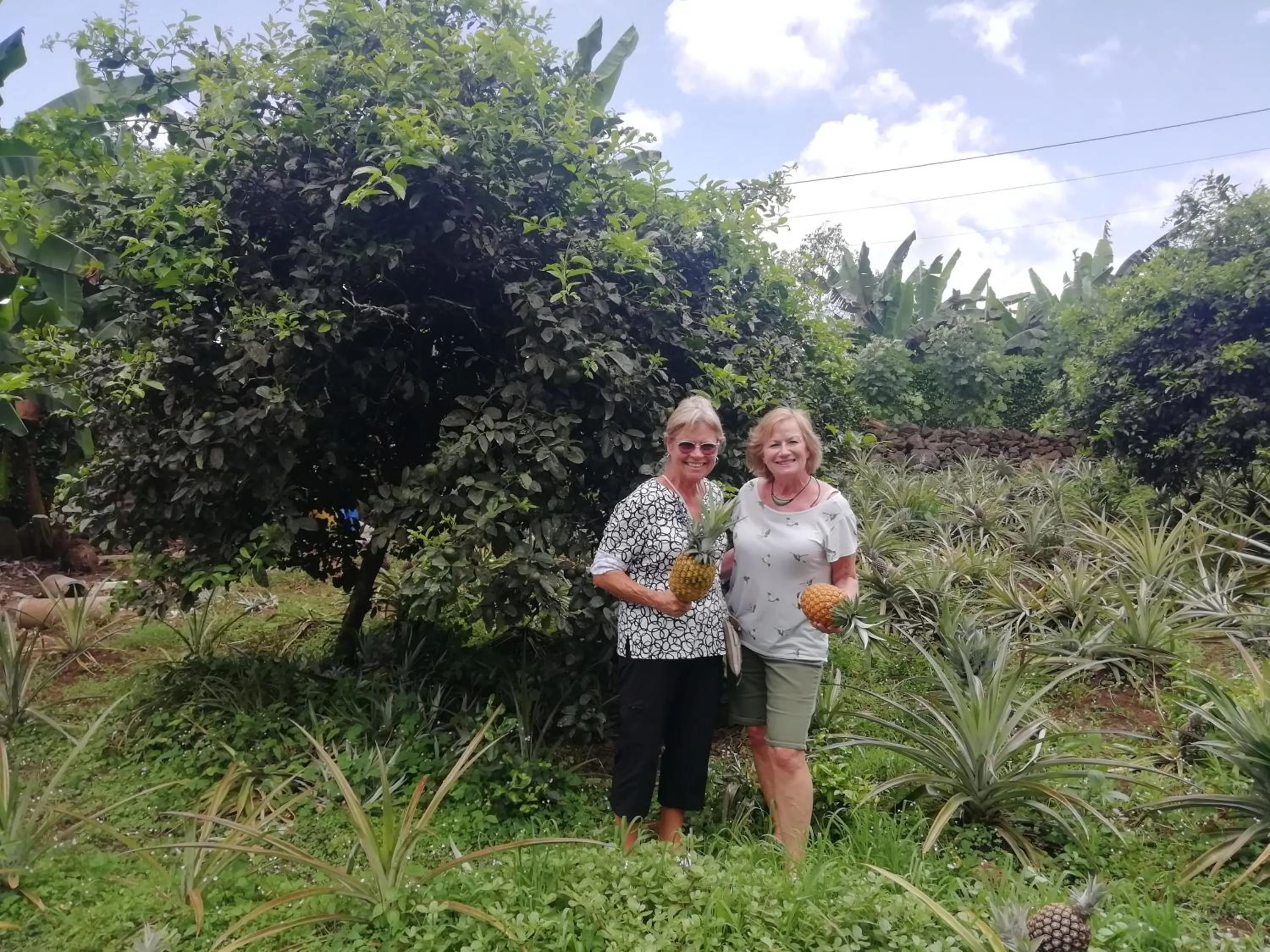 Property building in Hotel Twin Galápagos