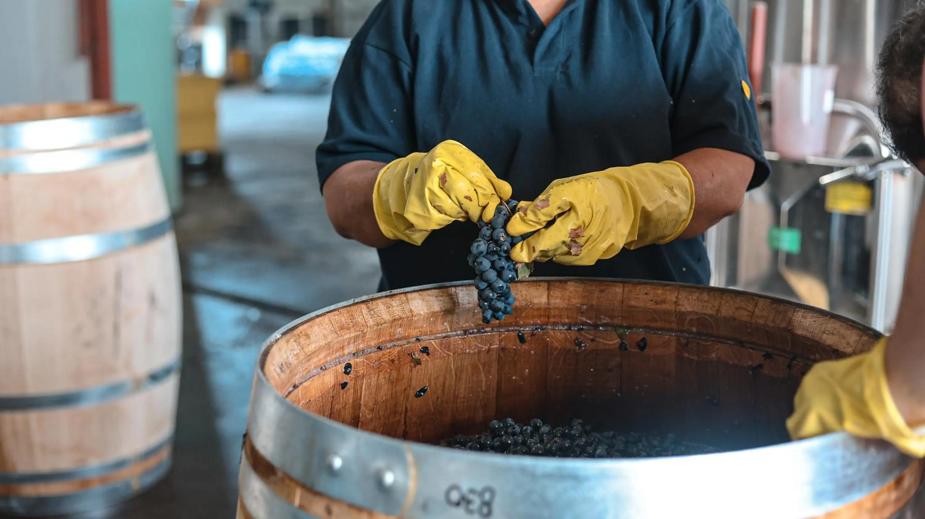 Activities in Algodon Wine Estates & Champions Club