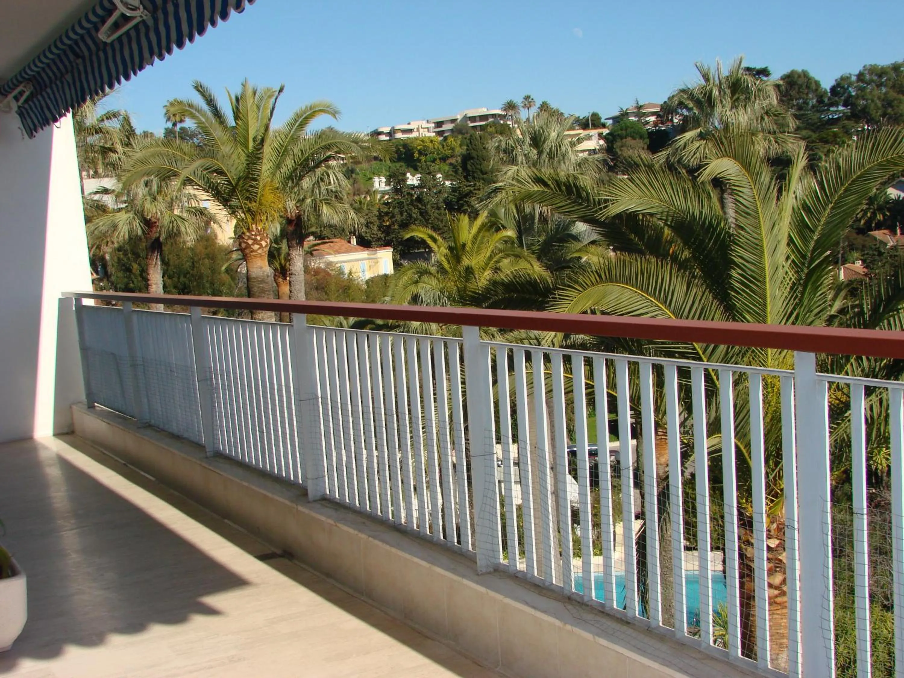 Garden view in The Best Place