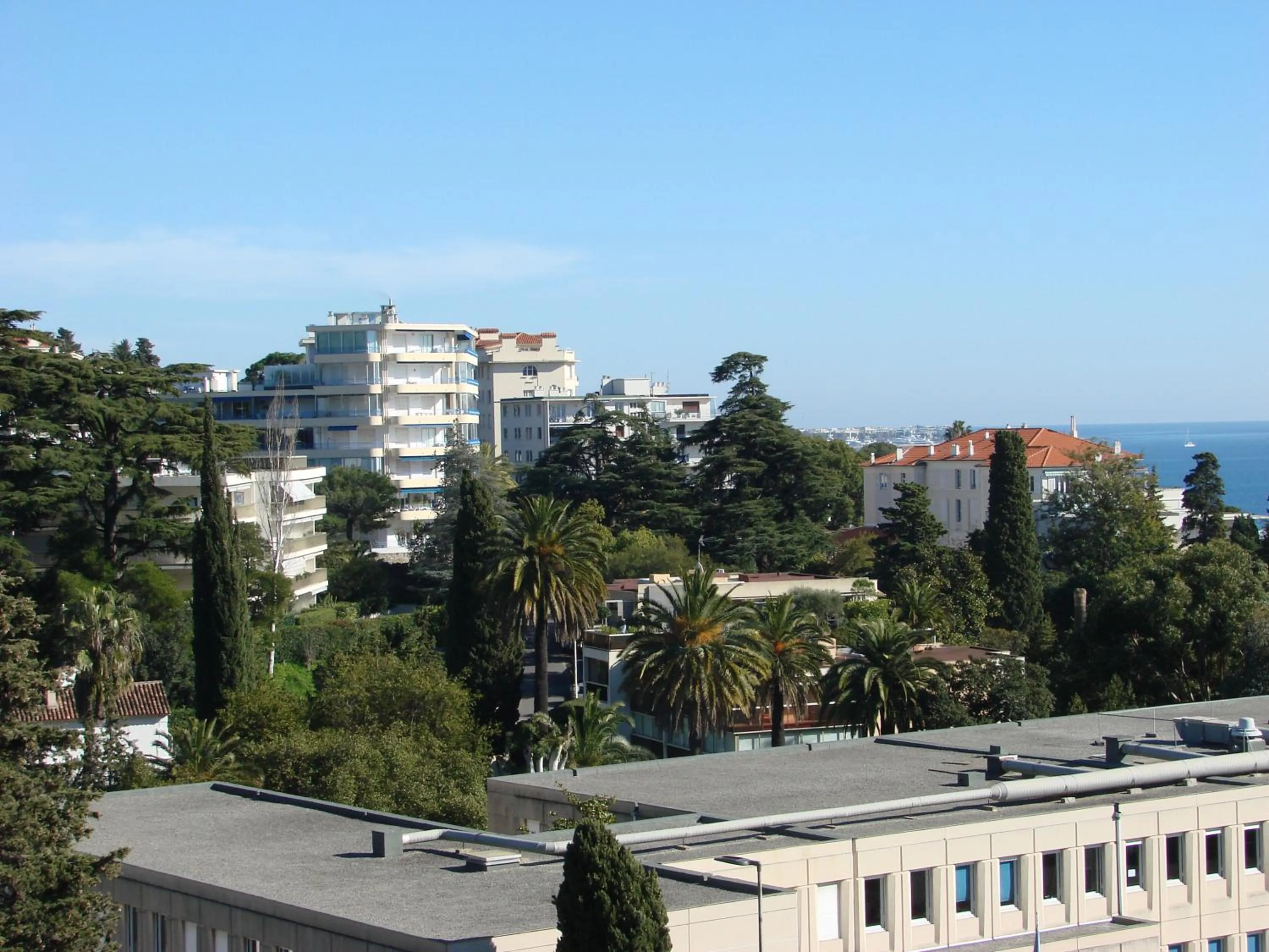 City view in The Best Place