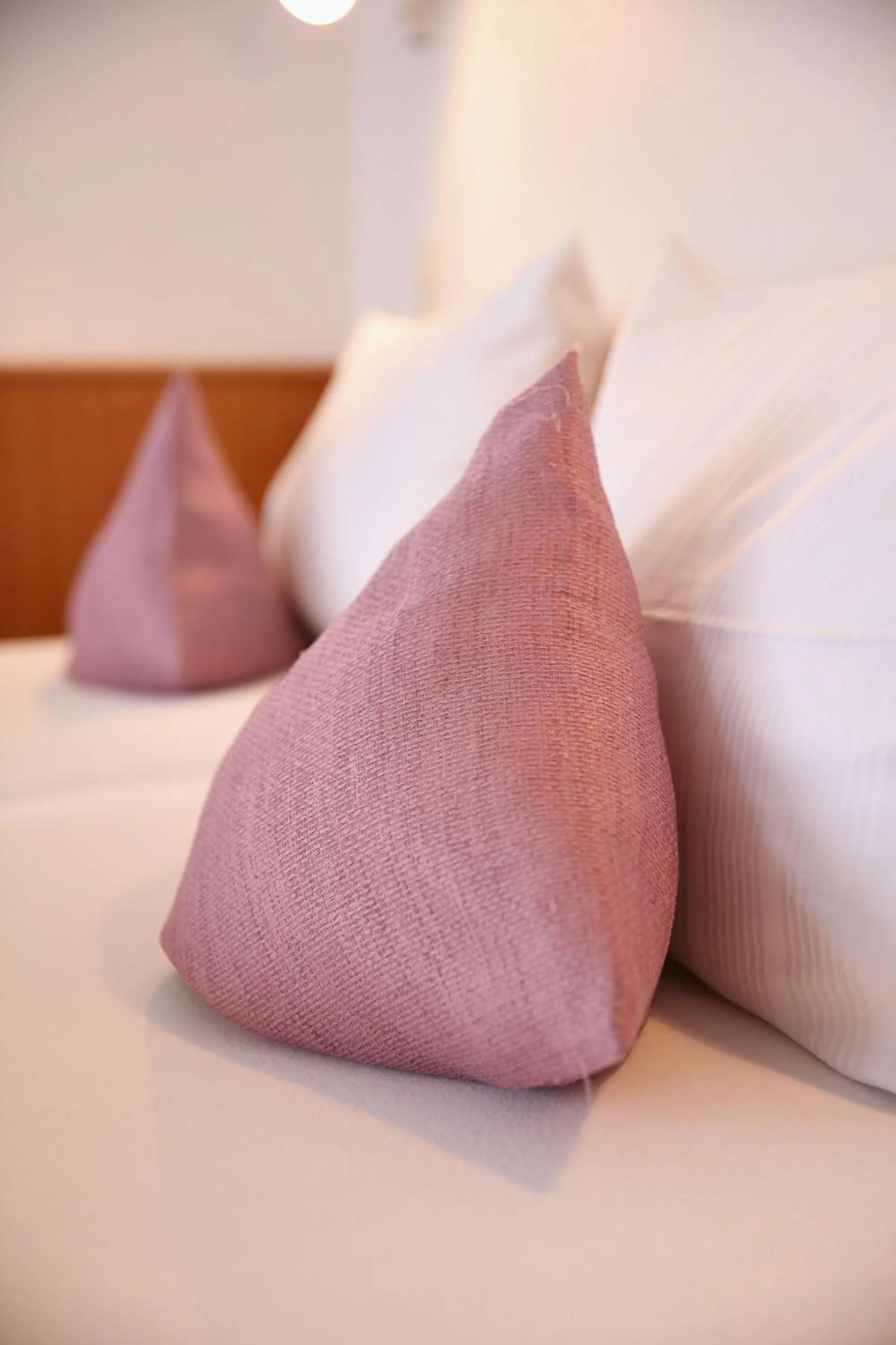 Bed in Aparthotel Stibbe