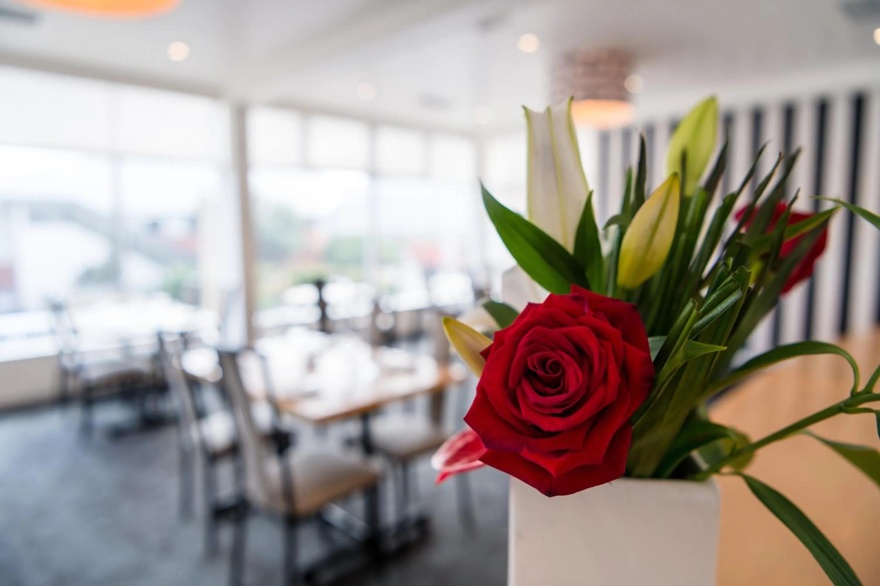 Restaurant/places to eat in Bay Plaza Hotel