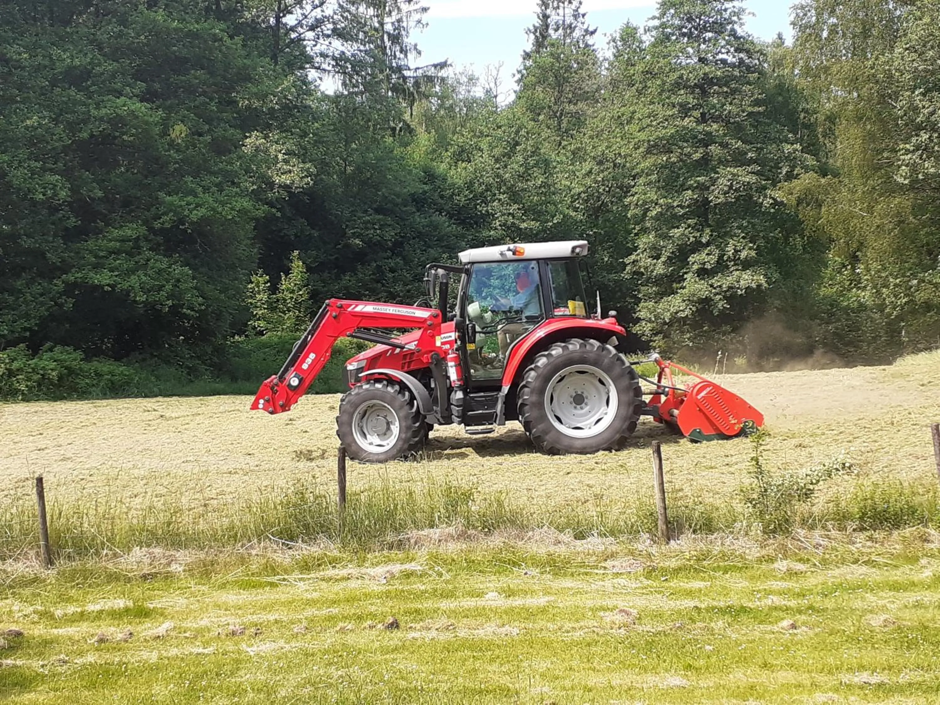 Garden in Villa Ekegården