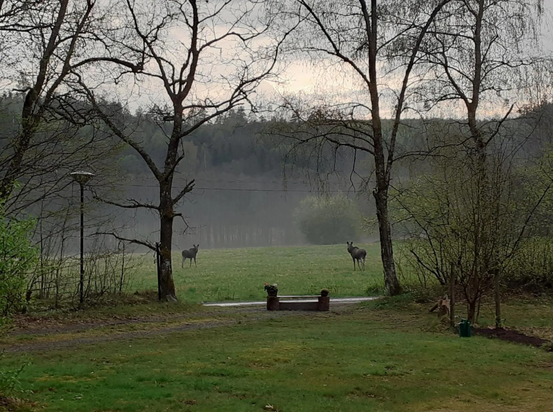 Natural landscape in Villa Ekegården
