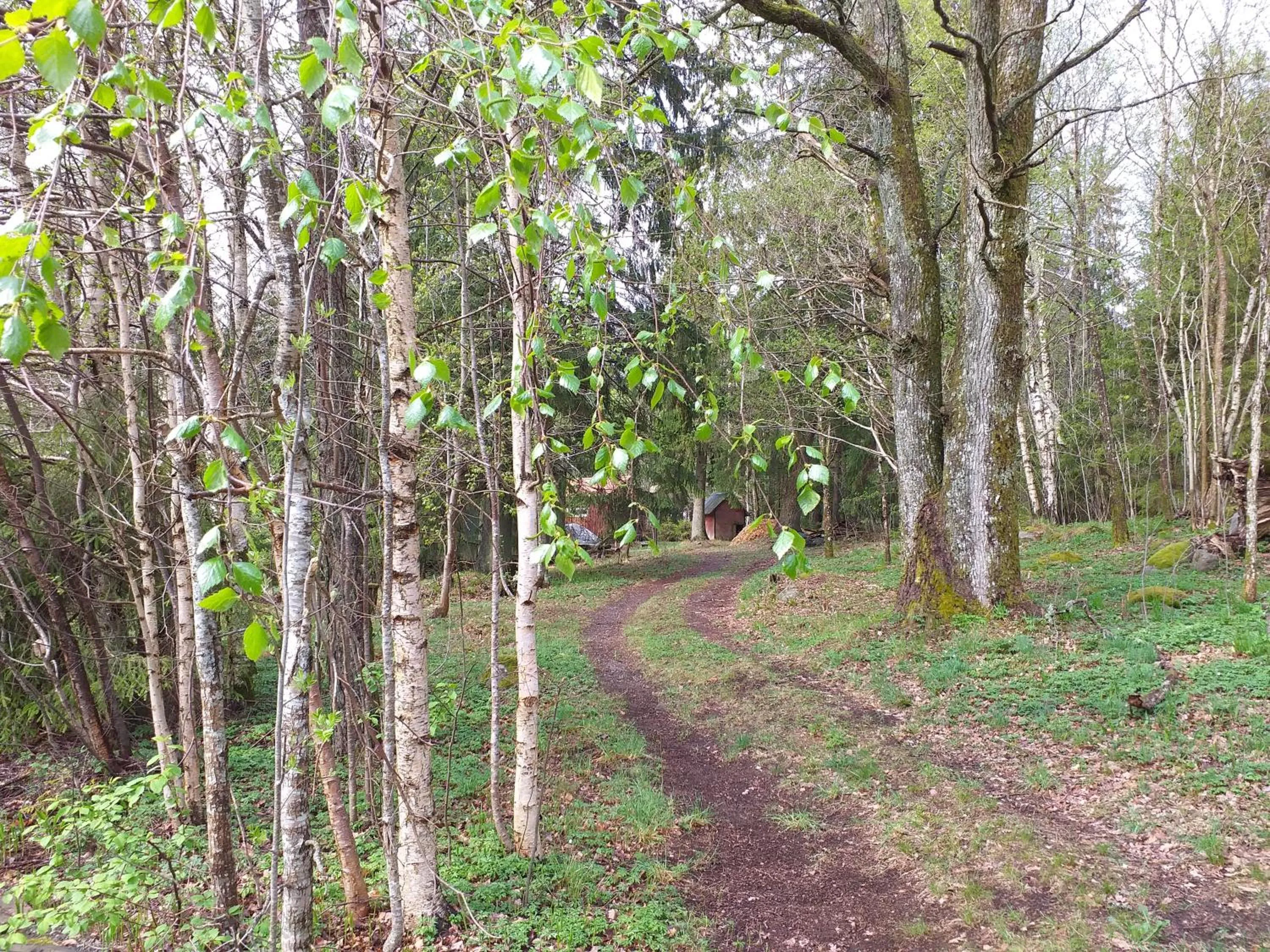 Spring in Villa Ekegården