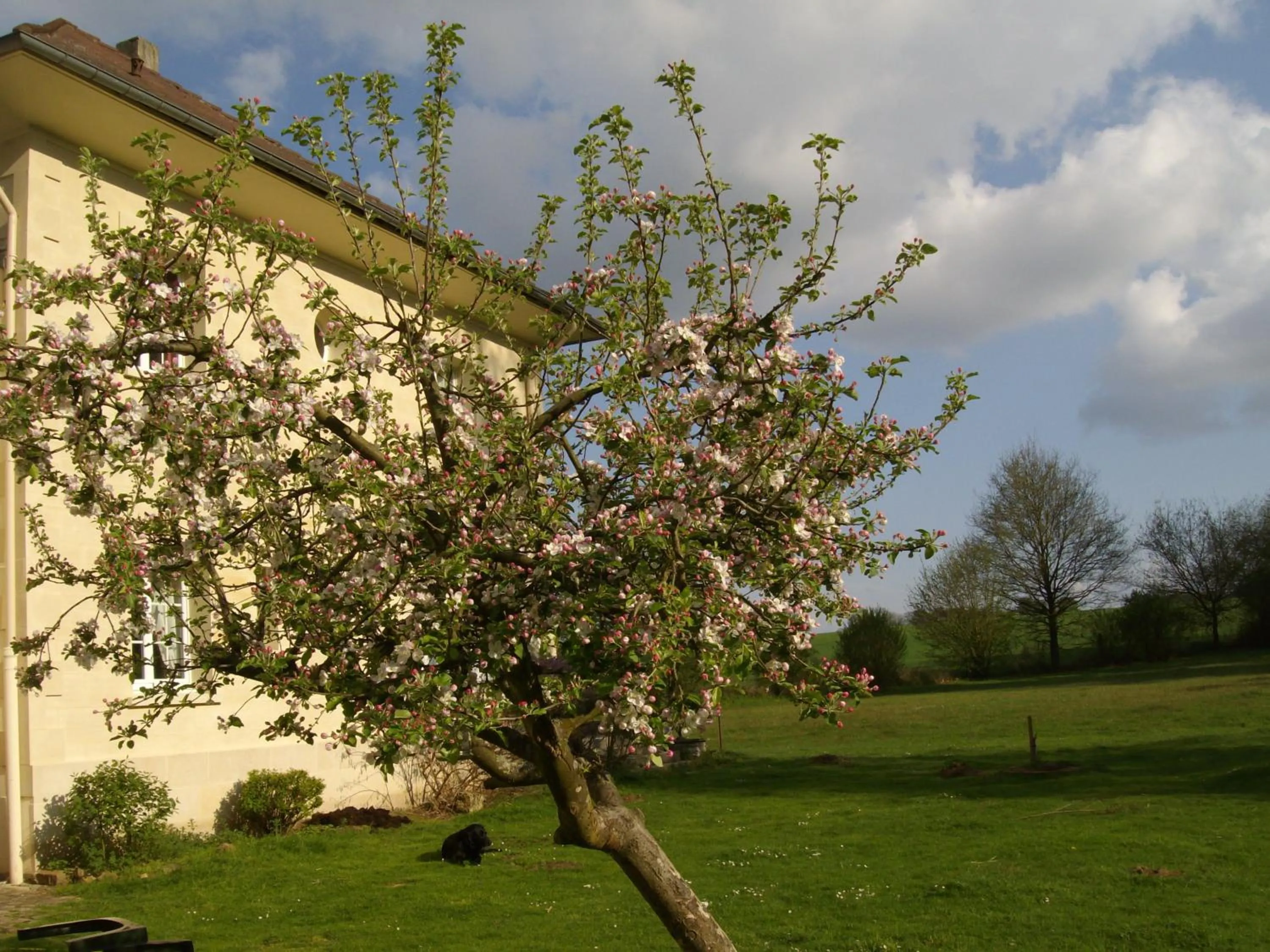 Domaine de Beauvilliers