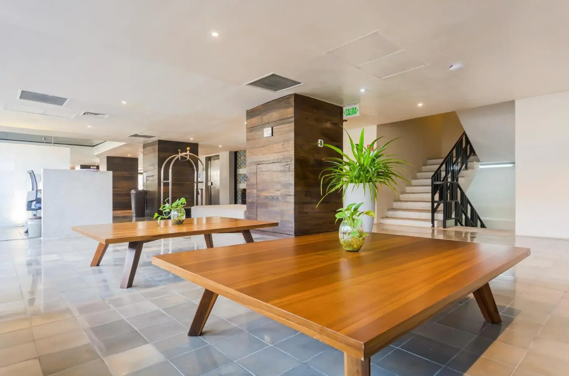 Lobby or reception in Mex Hoteles Lobby or reception in Mex Hoteles