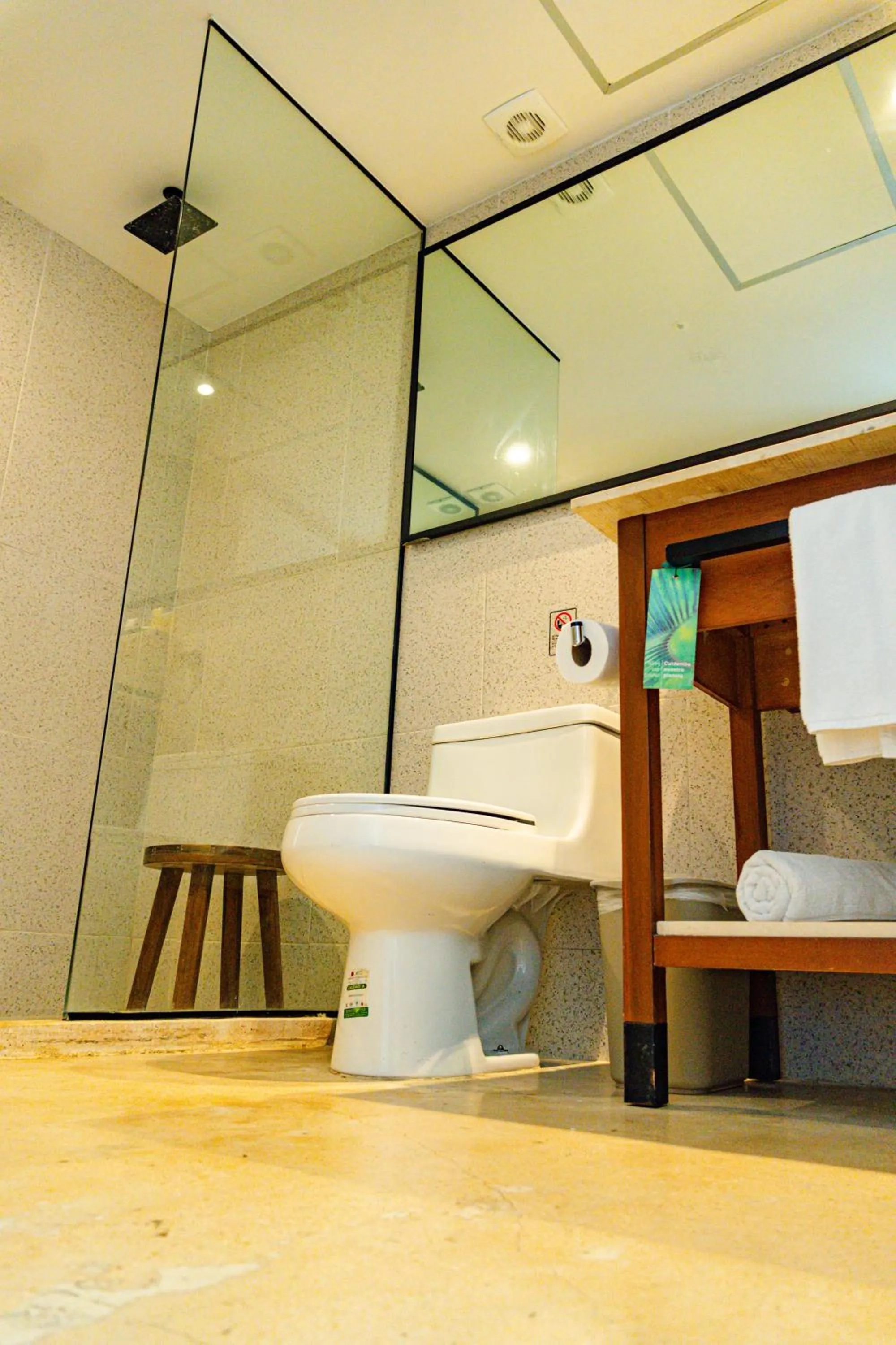 Shower in Mex Hoteles