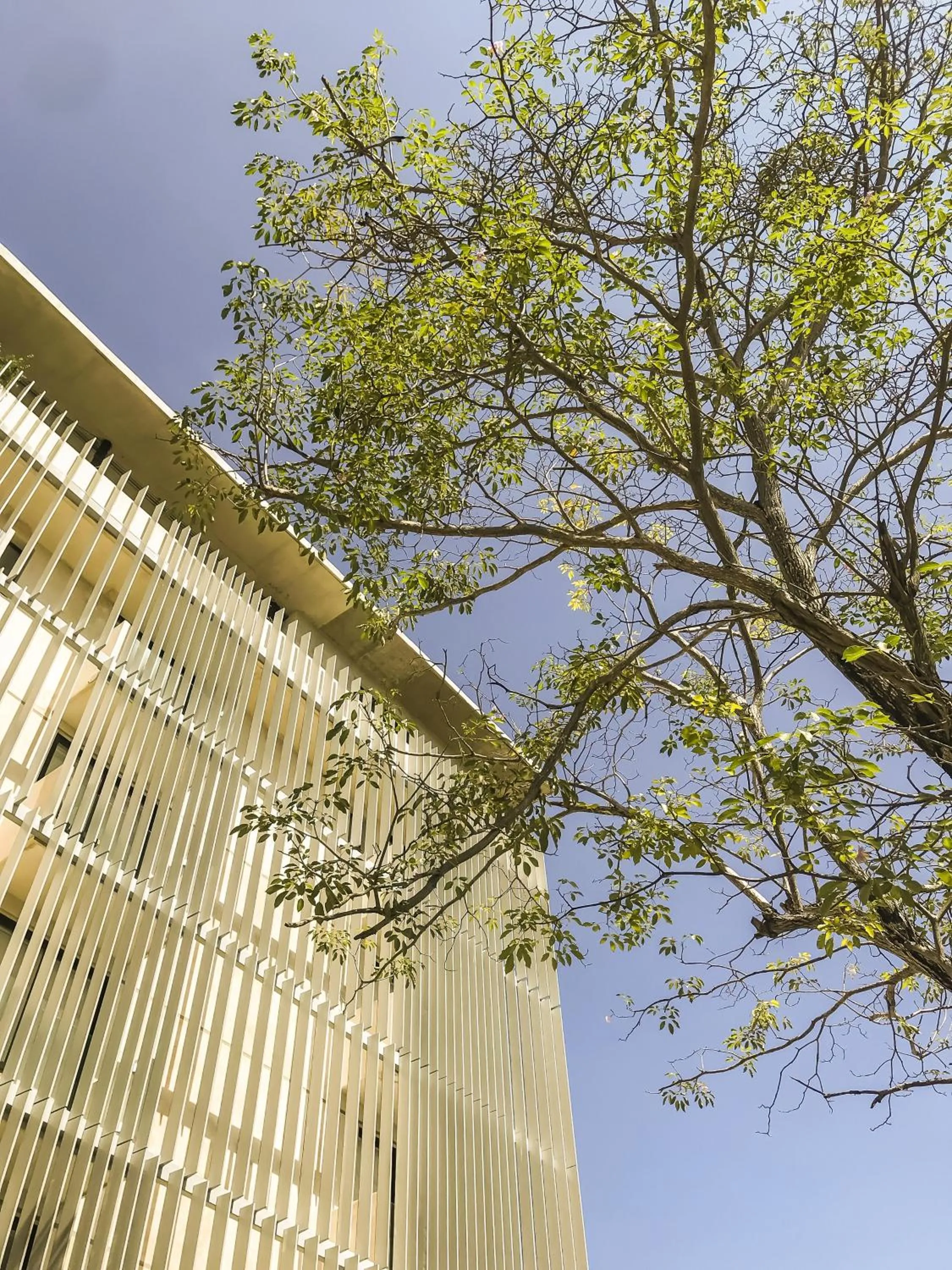 Property building in Mex Hoteles