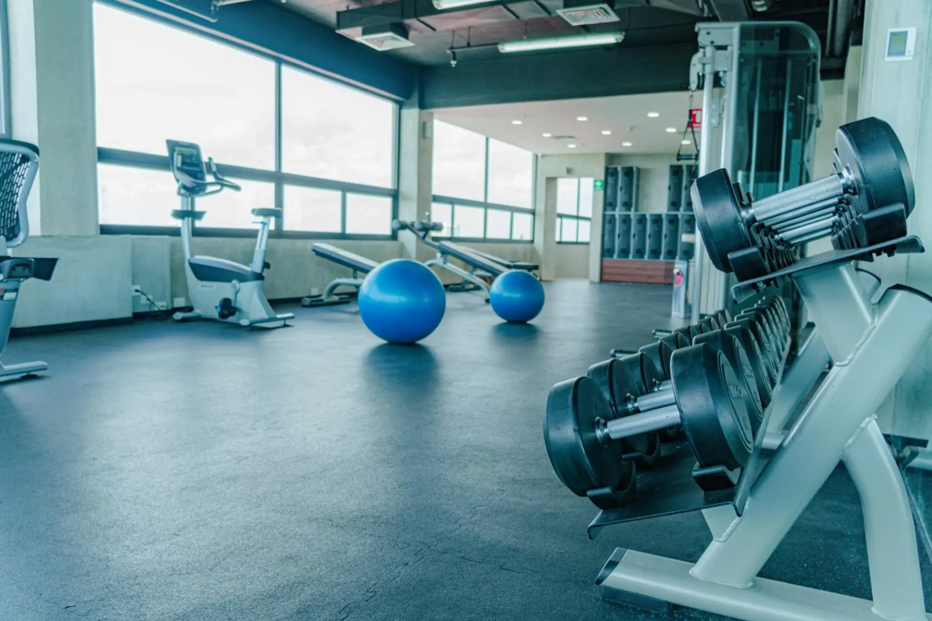 Fitness centre/facilities in Mex Hoteles Fitness centre/facilities in Mex Hoteles