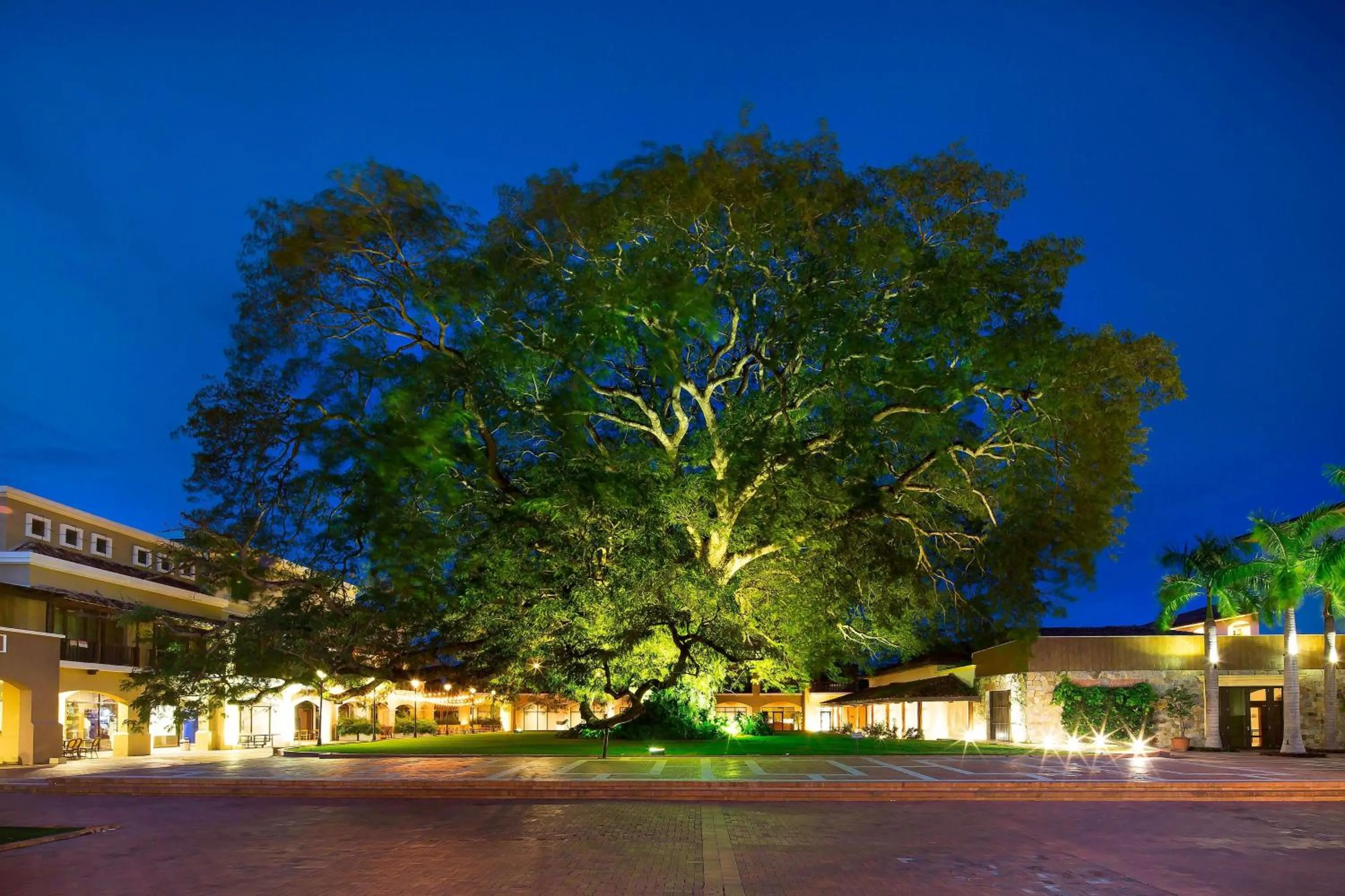 View (from property/room) in The Buenaventura Golf & Beach Resort, Autograph Collection