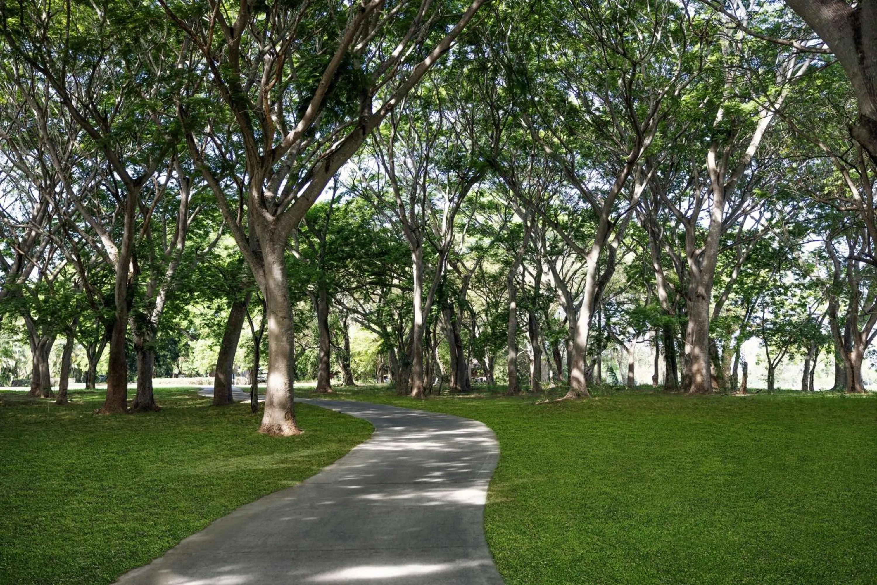 Property building in The Buenaventura Golf & Beach Resort, Autograph Collection