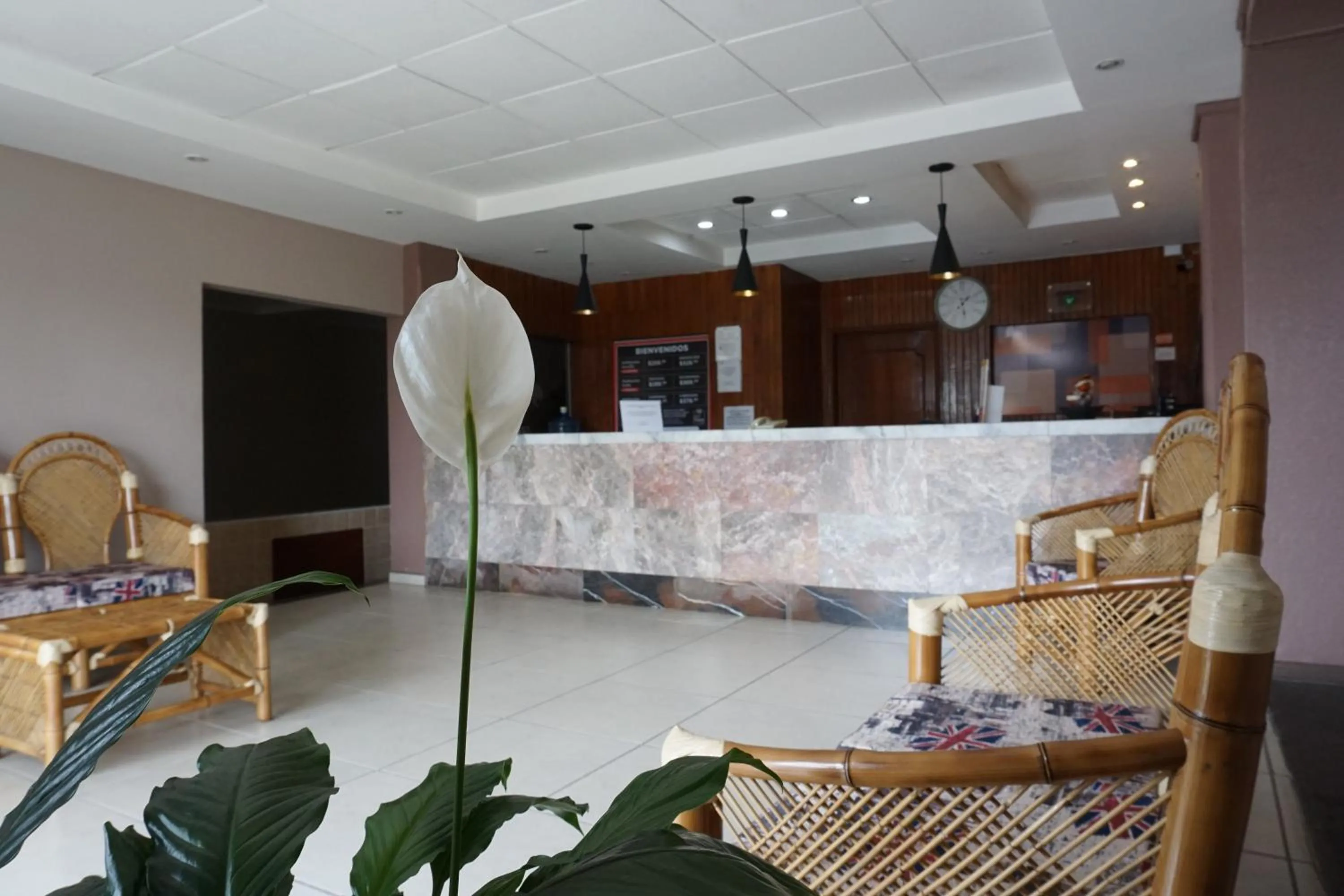 Lobby or reception in Hotel Palacio