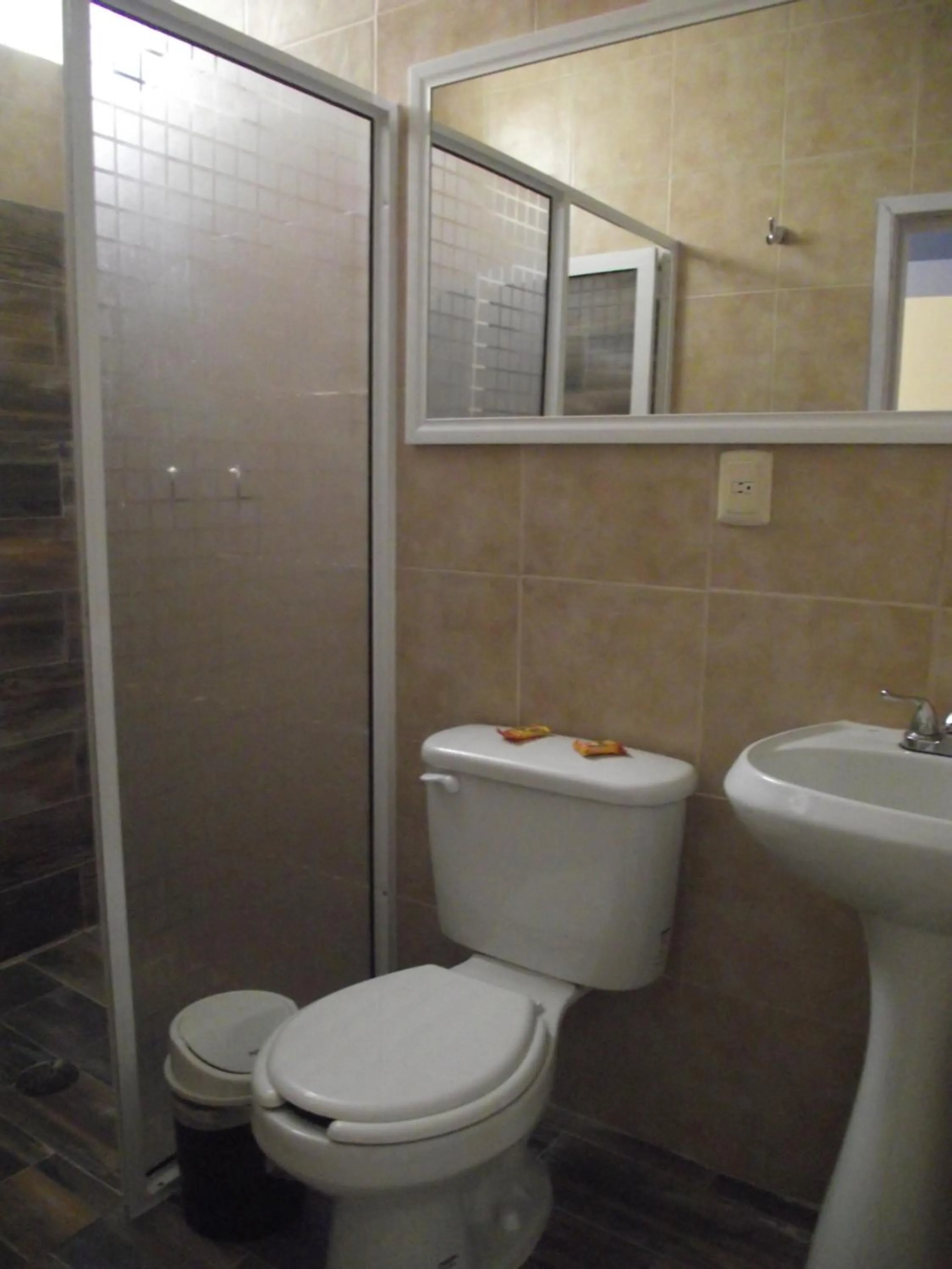 Bathroom in Hotel Palacio