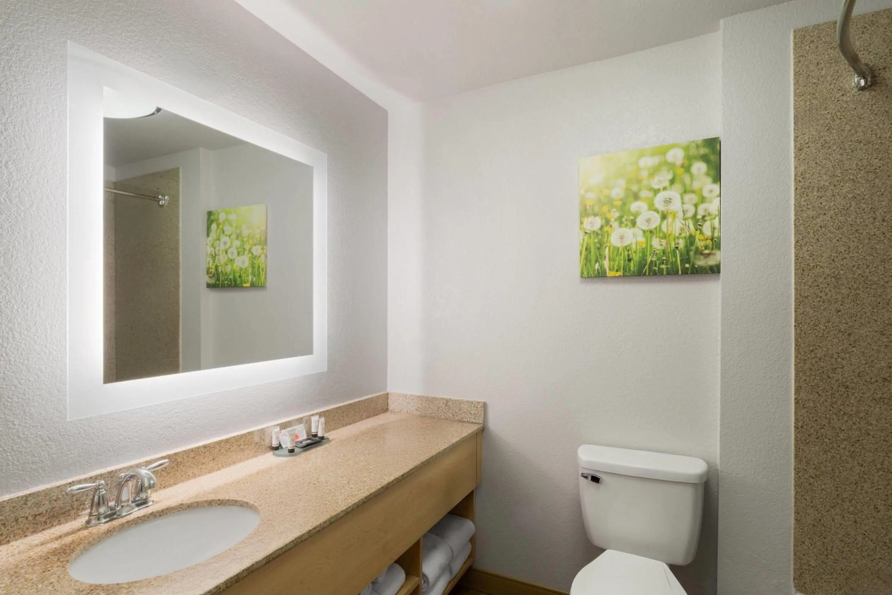 Bathroom in La Quinta by Wyndham Tucumcari