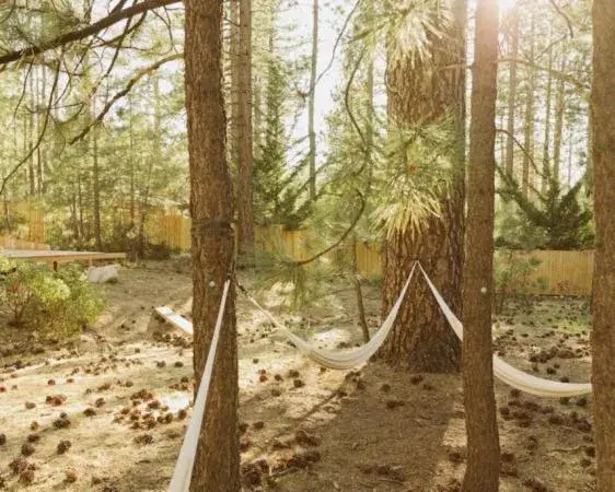 Colorado Lodge Colorado Lodge