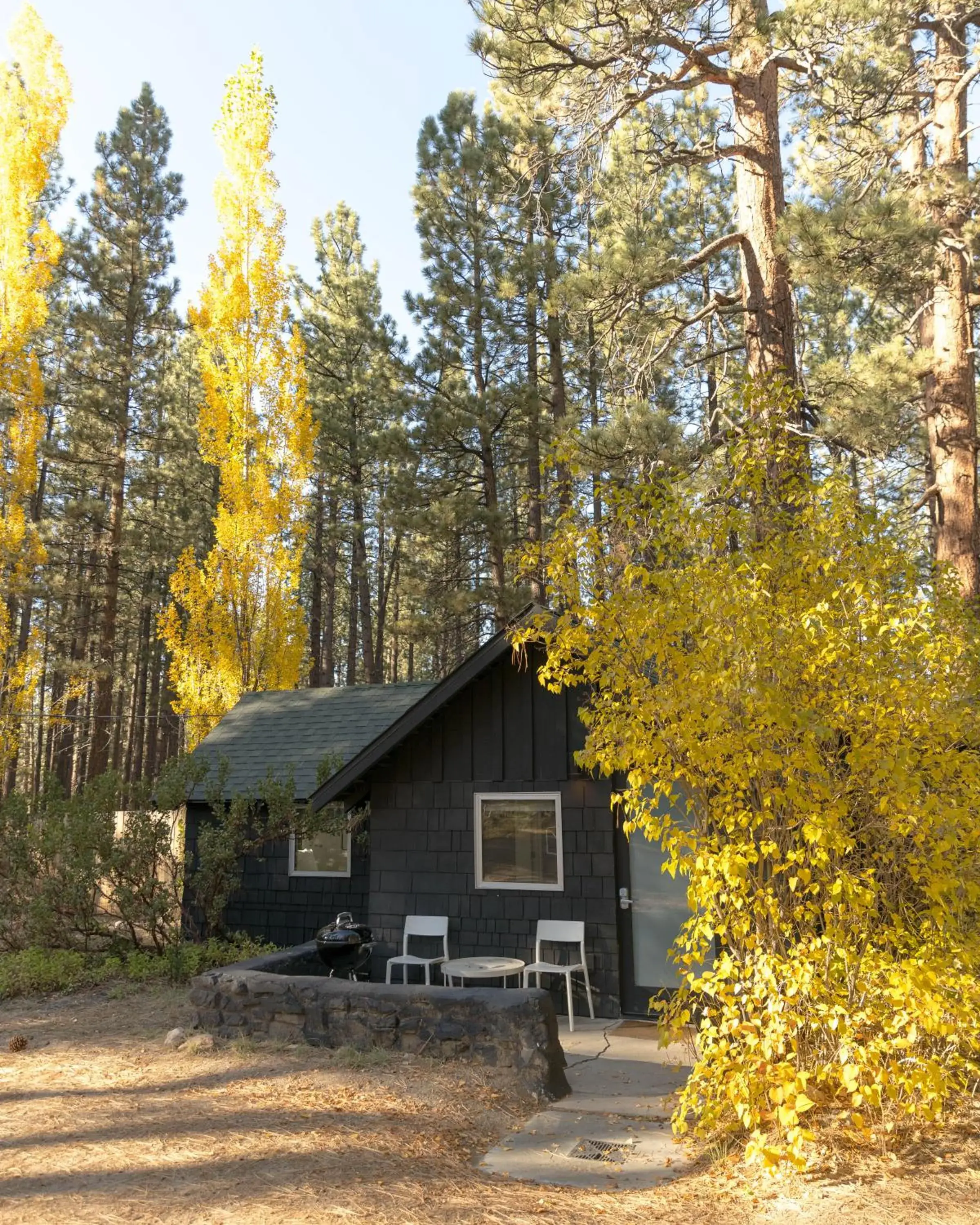 Property building in Colorado Lodge Property building in Colorado Lodge