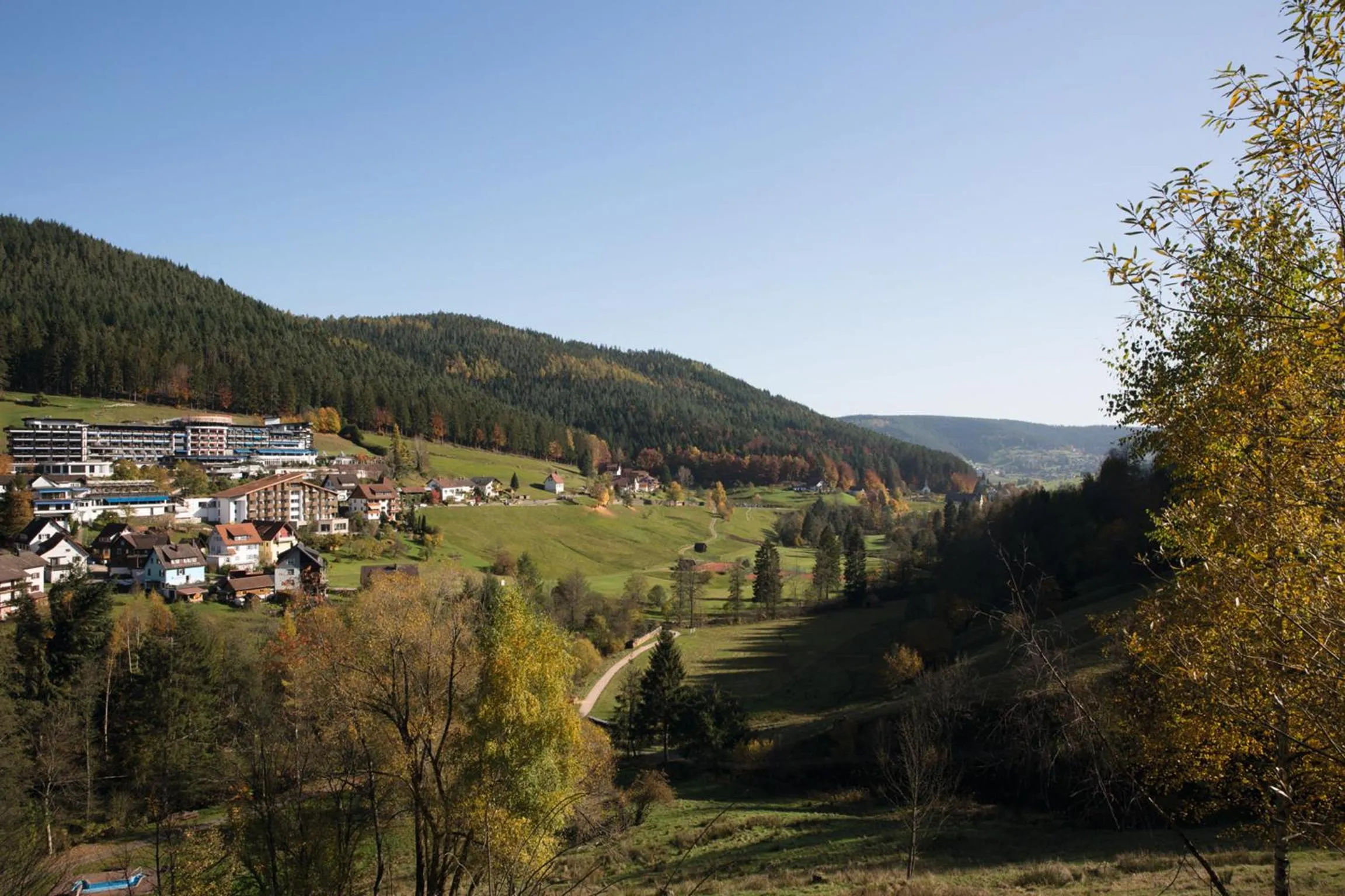 Natural landscape in Hotel Traube Tonbach