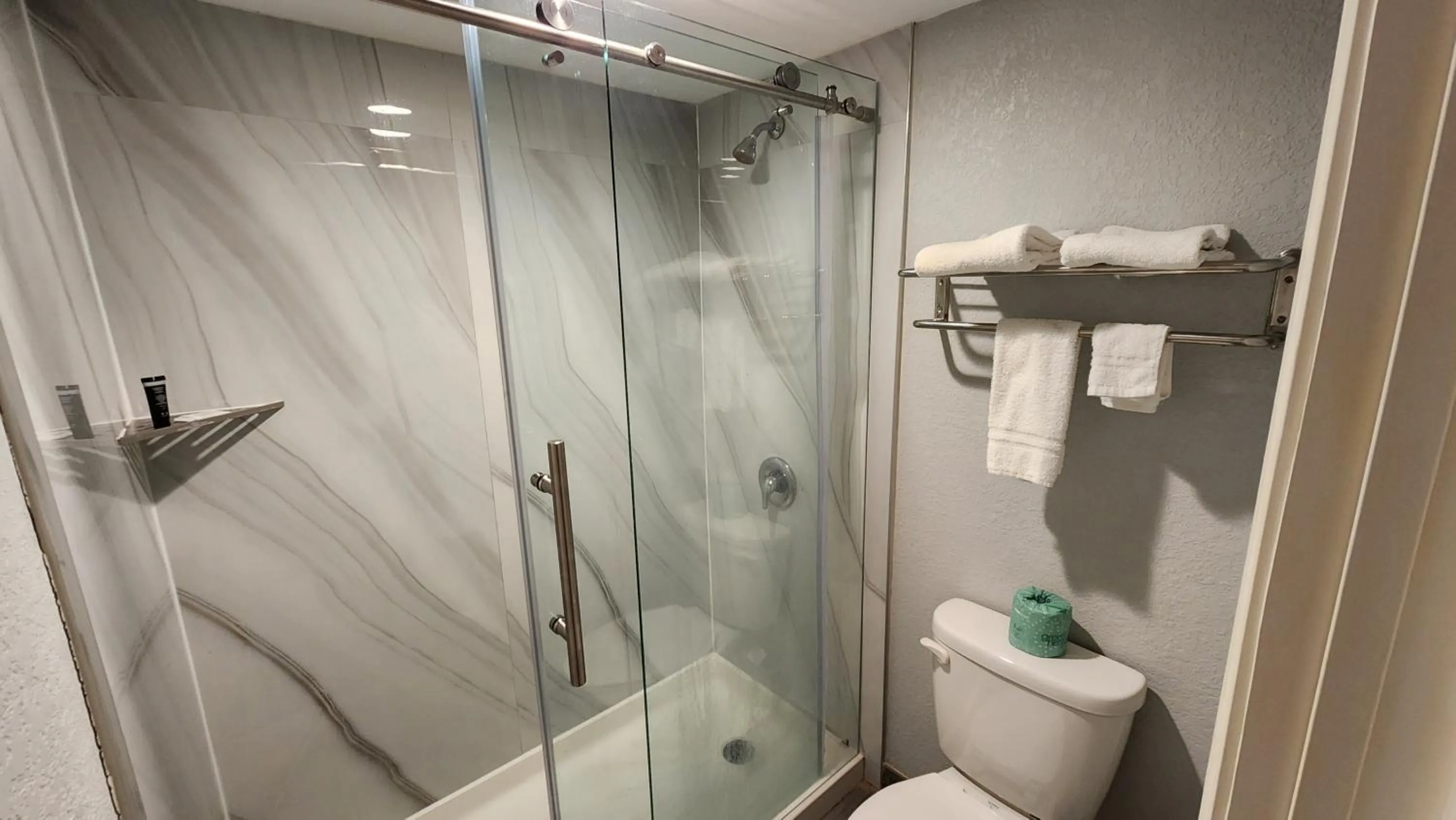 Shower in La Quinta Inn by Wyndham Clute Lake Jackson