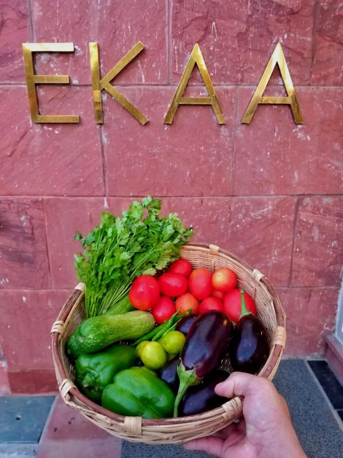 Property building in Ekaa Villa near Taj Mahal