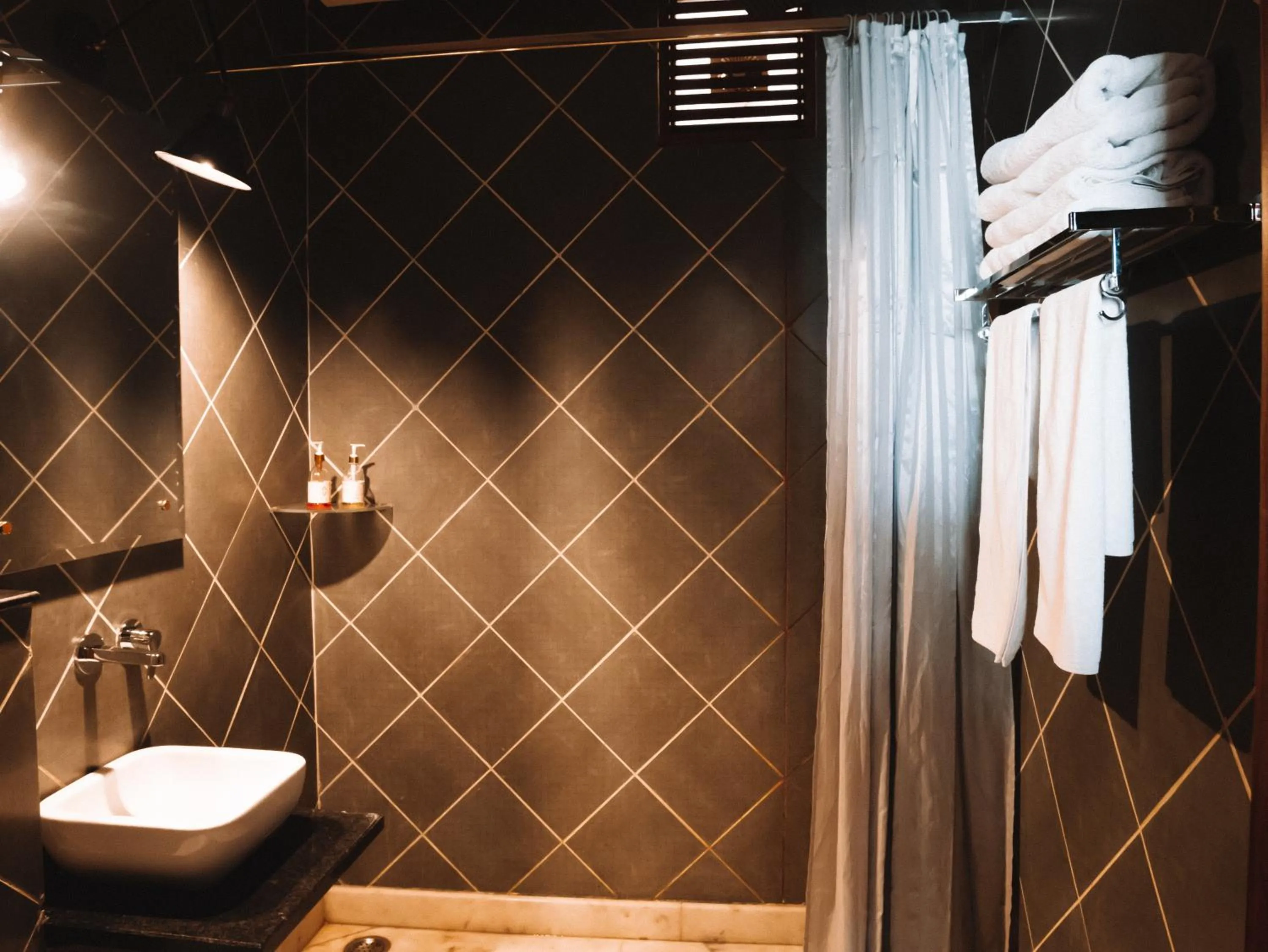 Shower in Ekaa Villa near Taj Mahal